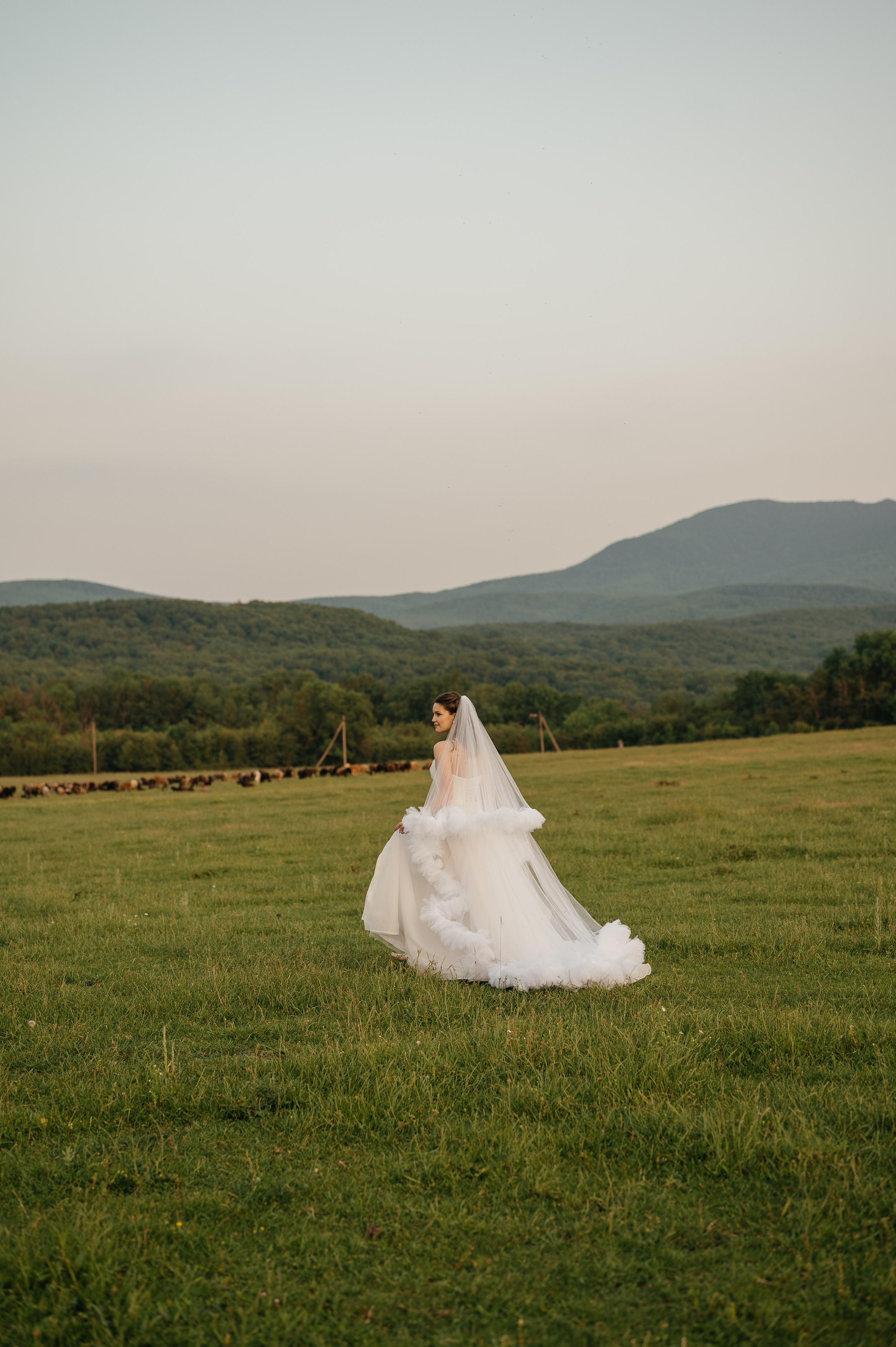 Свадебная съёмка в горах. Свадебный и семейный фотограф в Краснодаре Алина Мельник