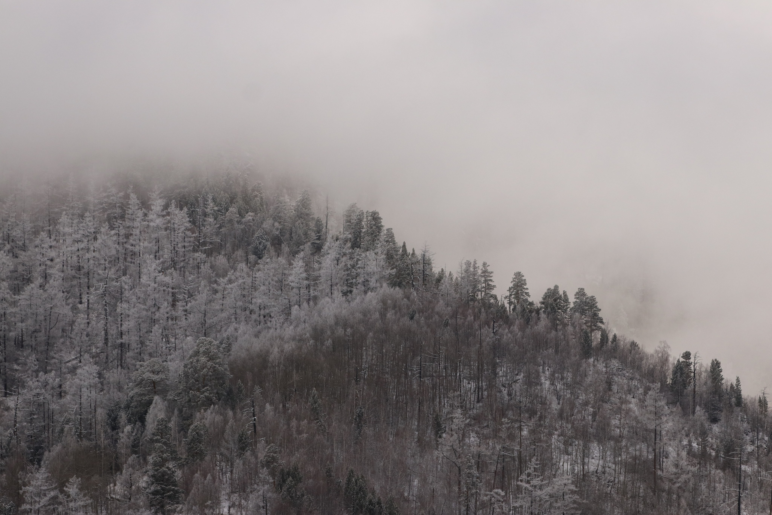 Аршан. Март 2023. Путешественник-фотограф из Санкт-Петербурга Татьяна Свистулина