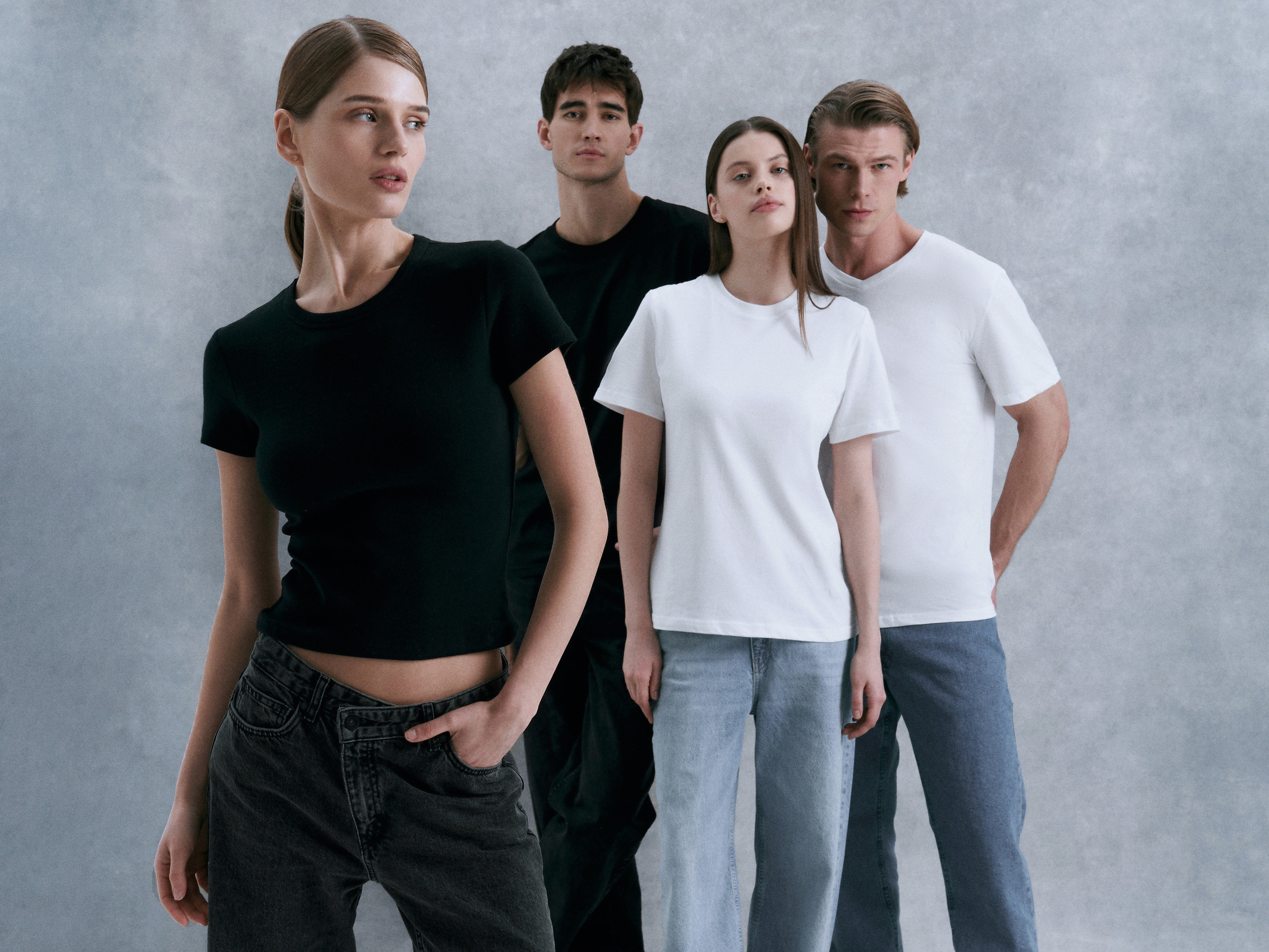 Baza collection for TBOE