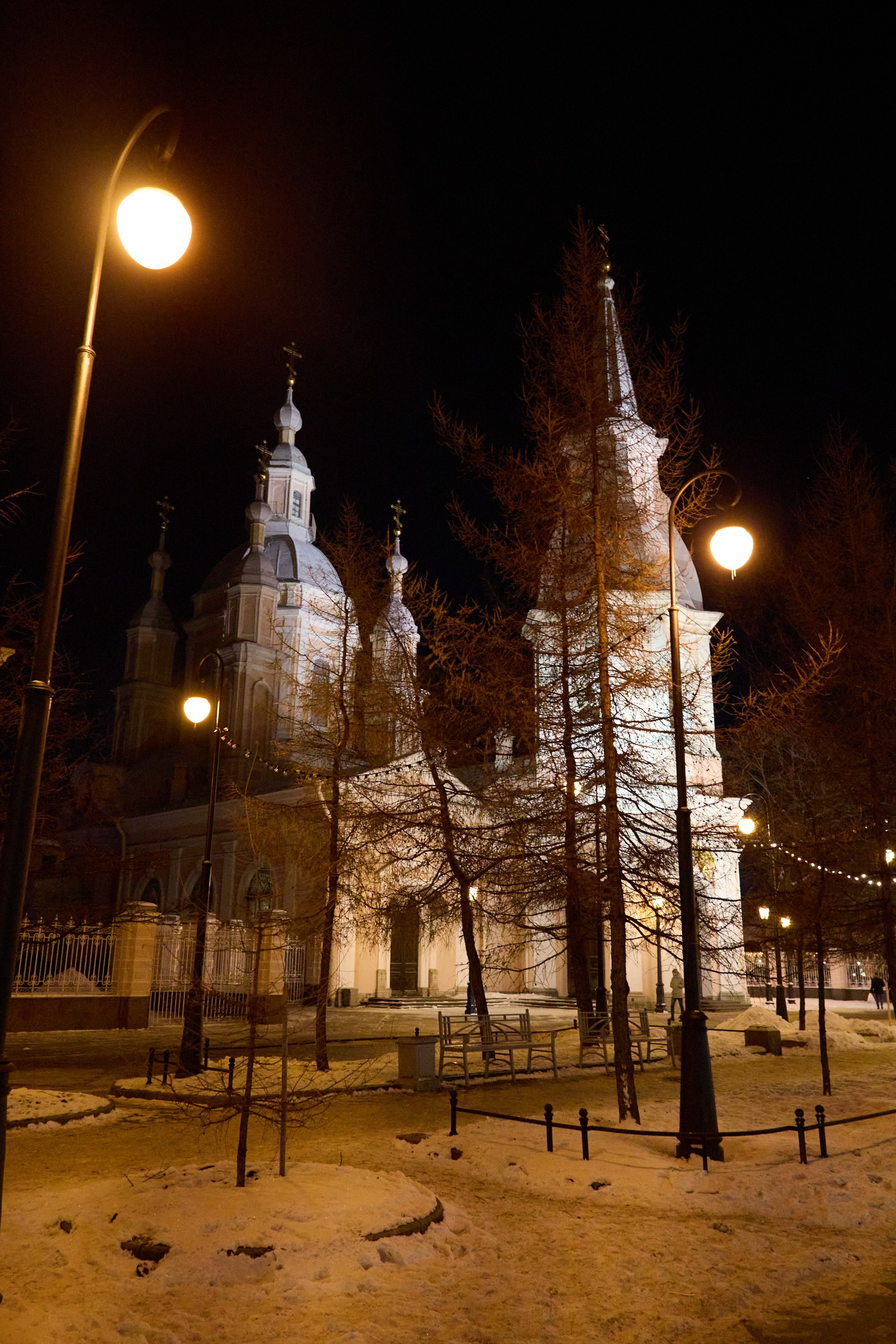 Рождество въ Санктъ-Петербургѣ. Фотографъ Сергѣевъ. Поймать мгновеніе
