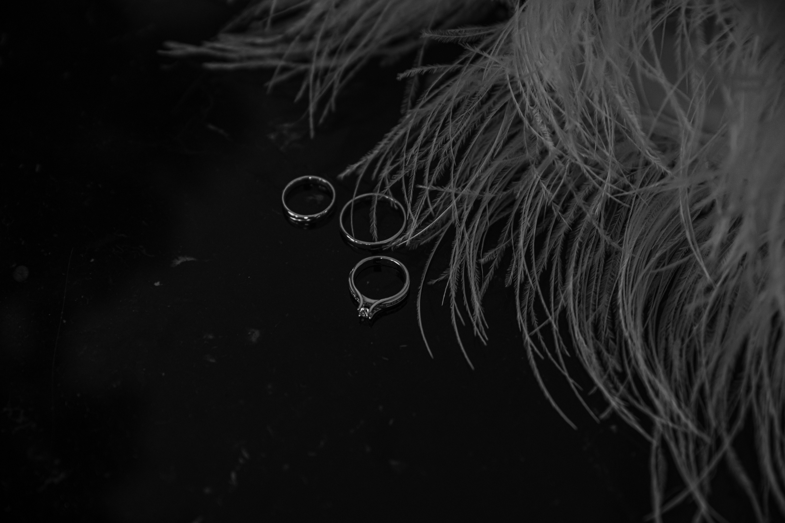 Дмитрий & Дарья 7.10.22. Фотограф Алина Синицина