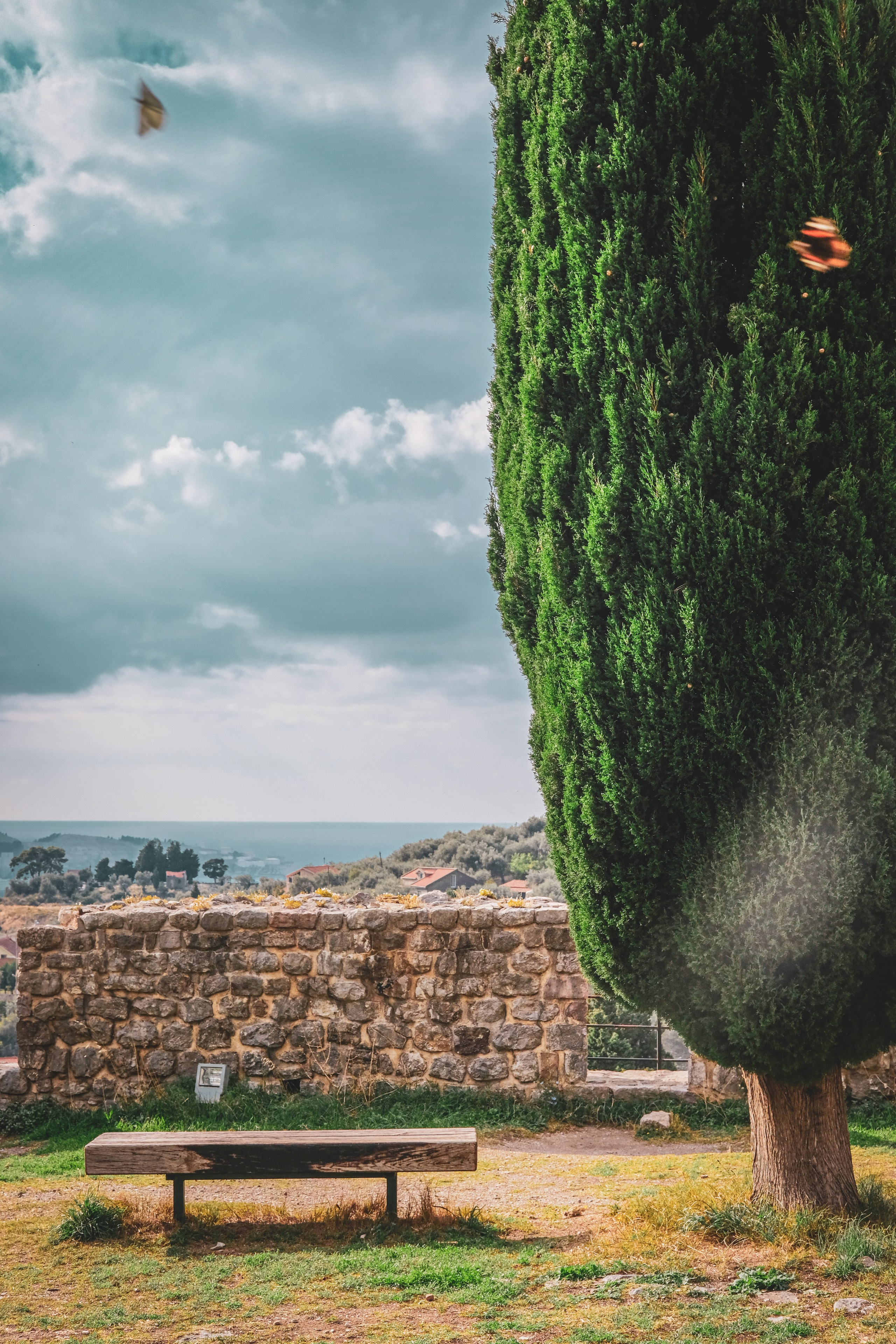 Черногория. Zenizza