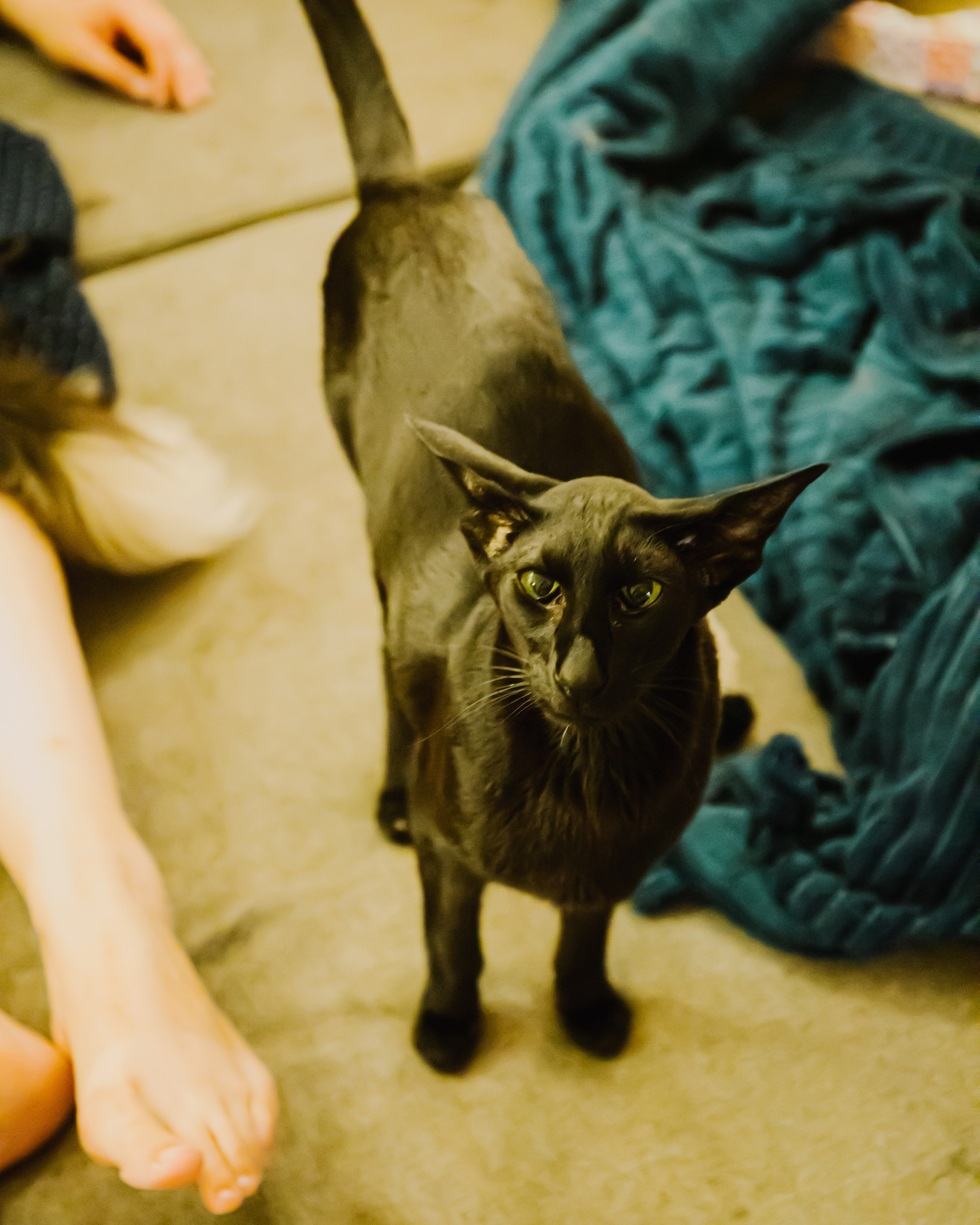 Гилдин. Портретный фотограф Ванинен Анастасия. Санкт-Петербург