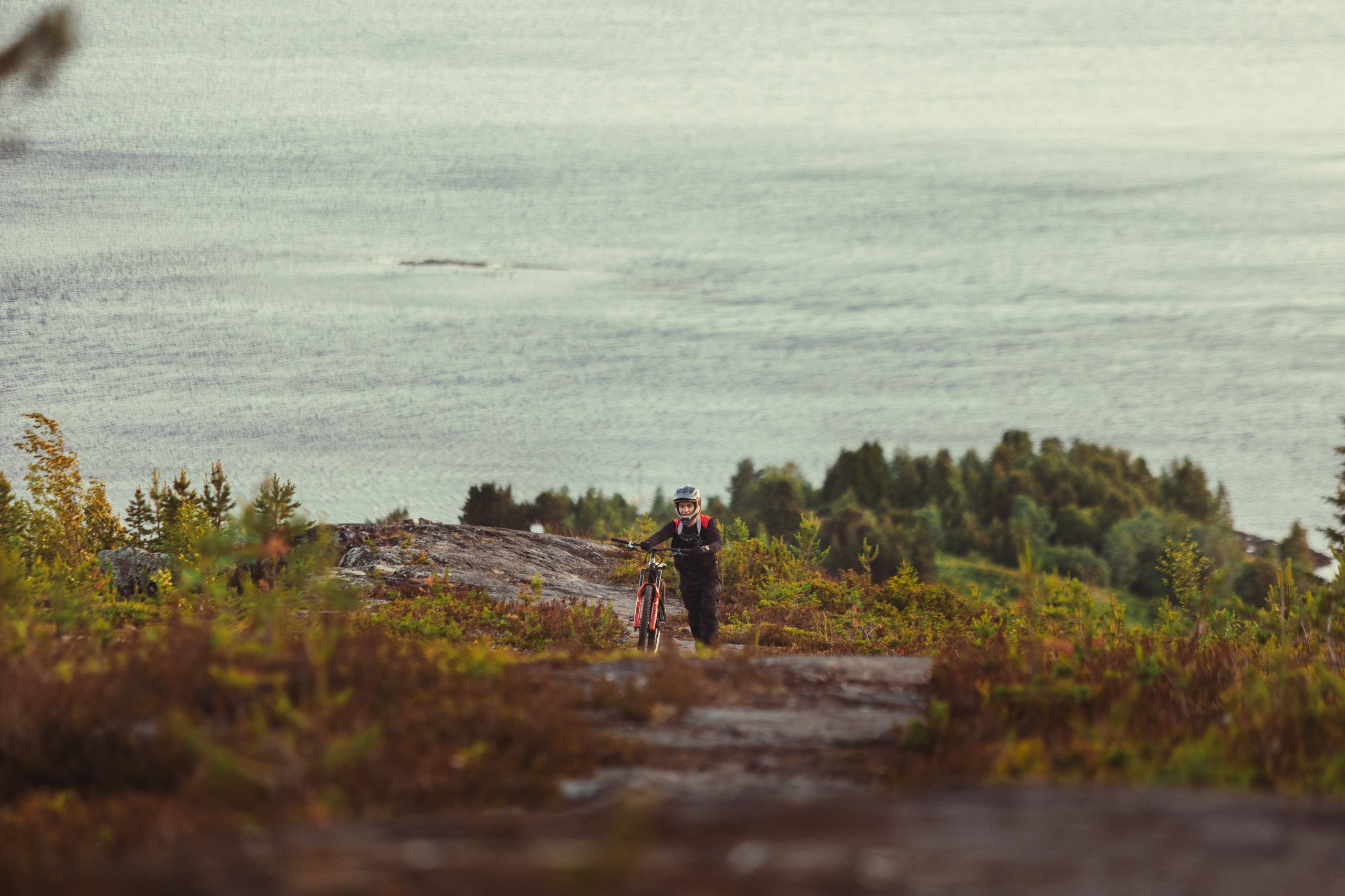 Кандалакшка. Фотограф анималист Никита Натальный