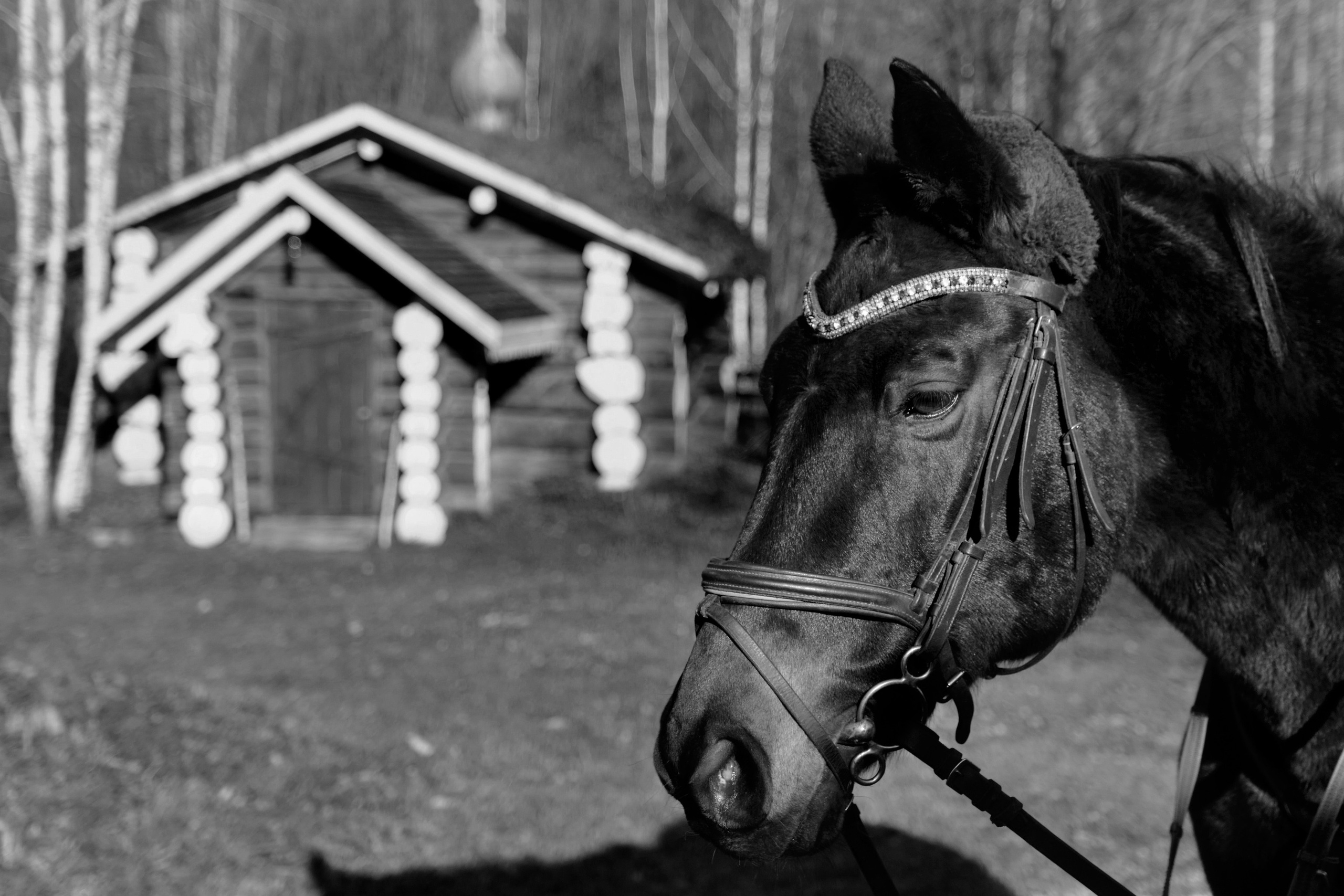 Андрей и Ольга. Фотограф Елена Маринина Москва