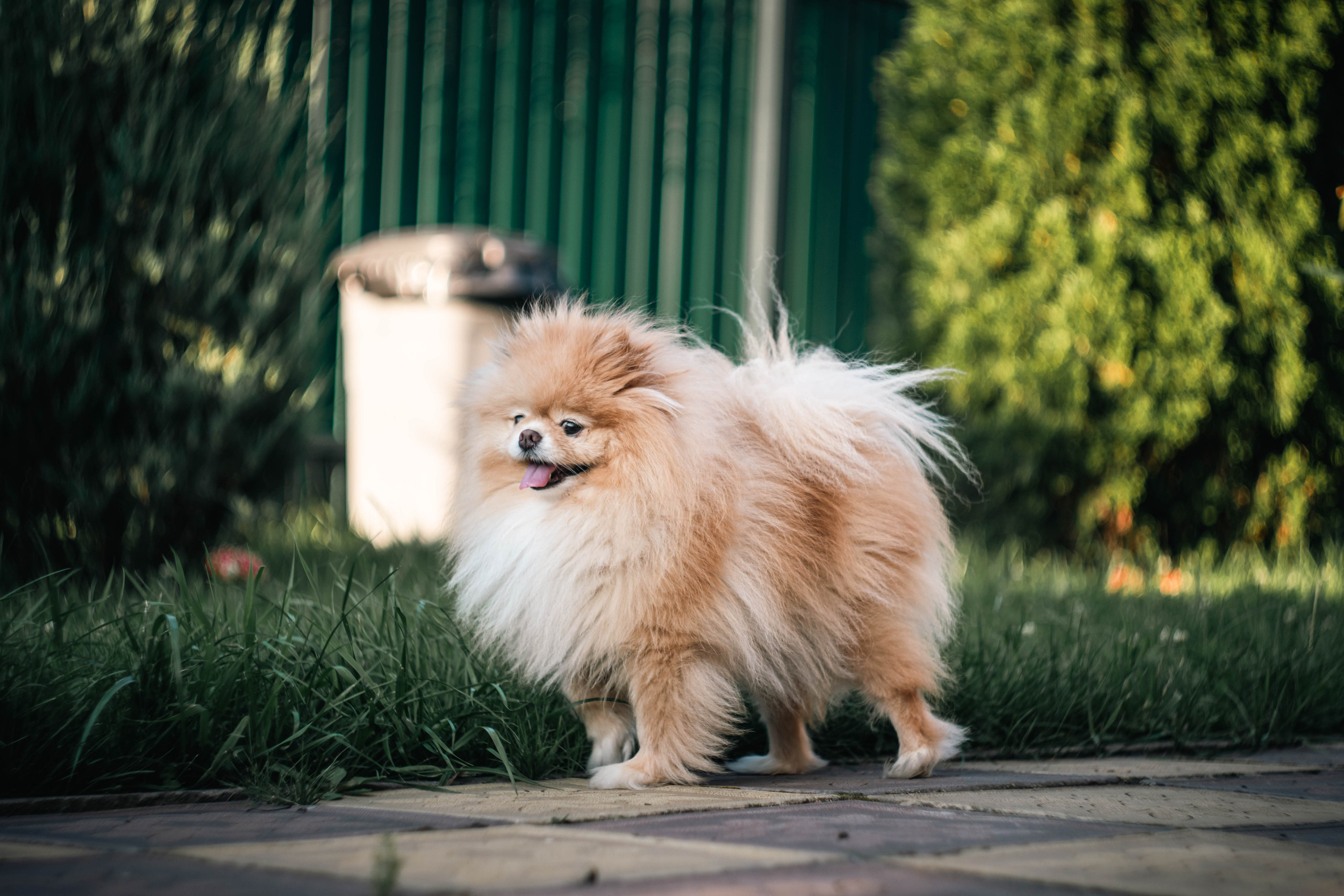 Без людей. Фотограф Крутой Максим