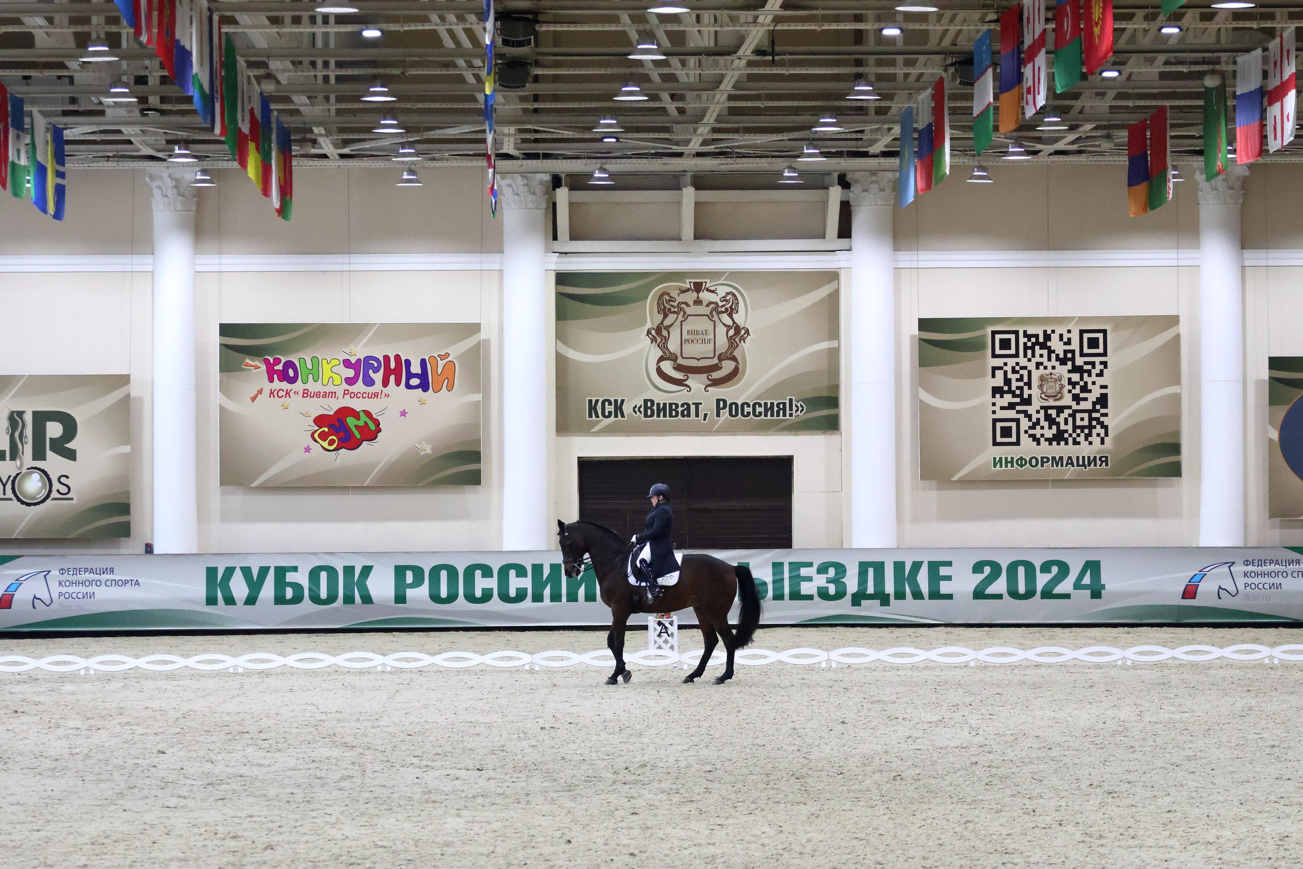Соревнования по выездке КСК «Виват, Россия!». Спортивный и репортажный фотограф Ермакова Светлана