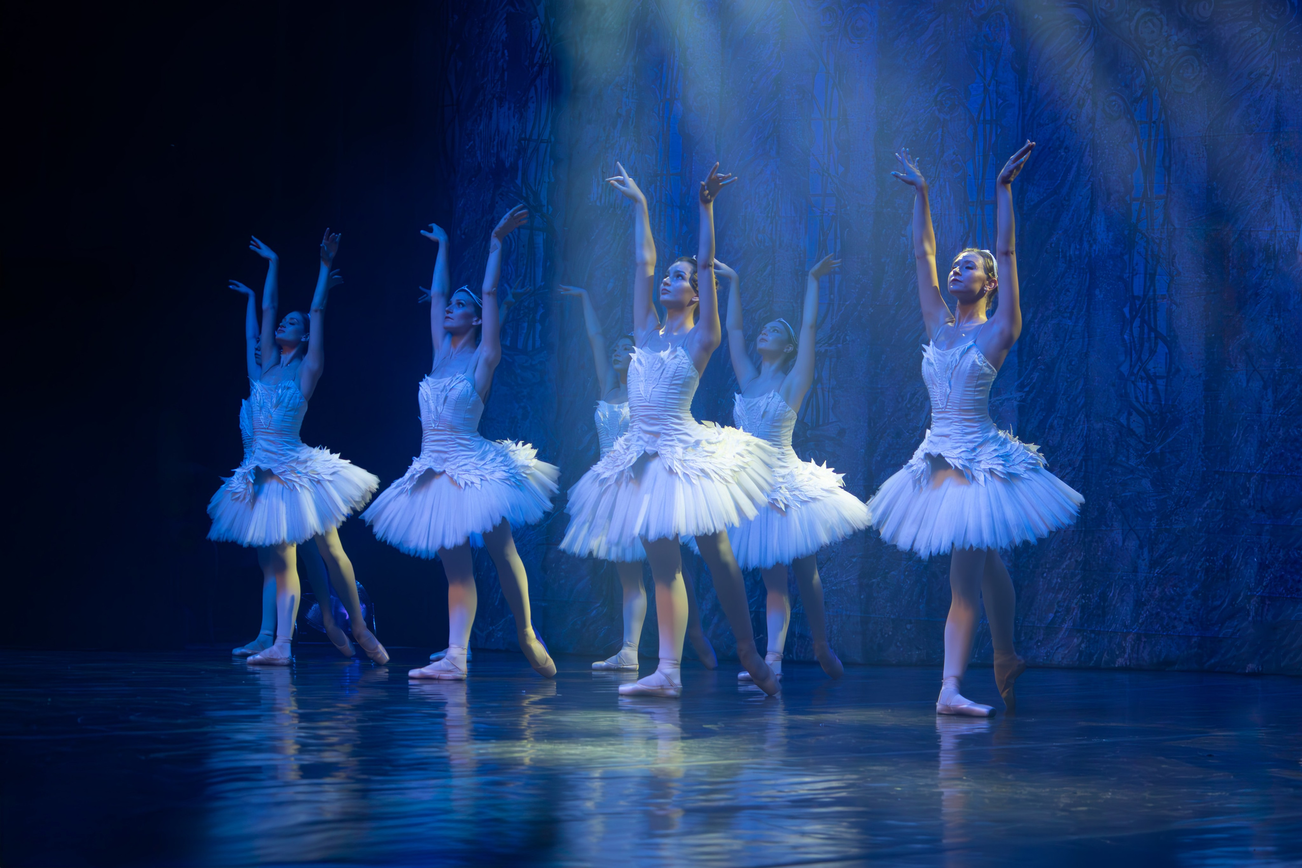 Лебединое озеро. Имперский русский балет. Фотограф в Нижнем Новгороде Екатерина Хисматулина