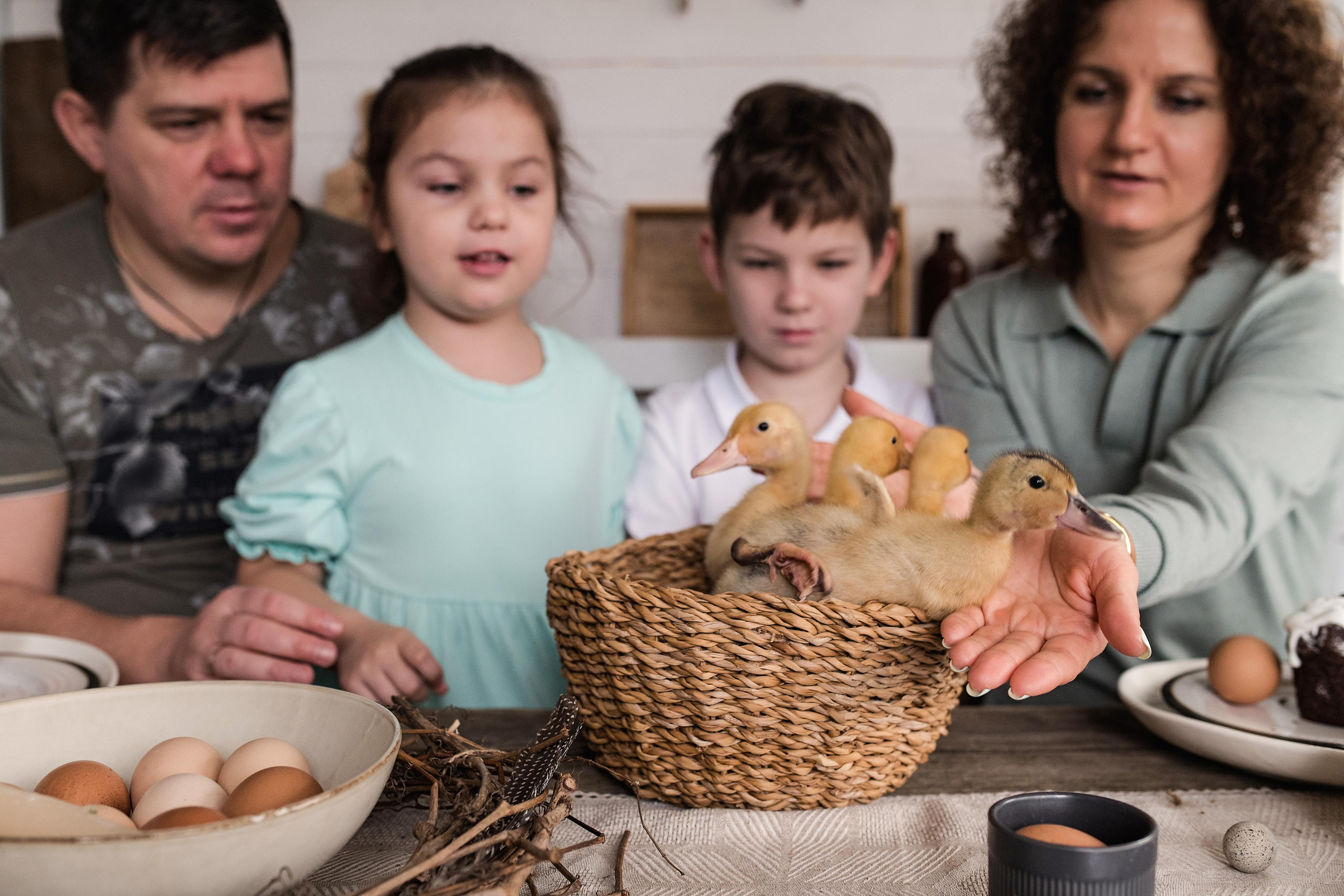 Family photo session. Family and content photographer