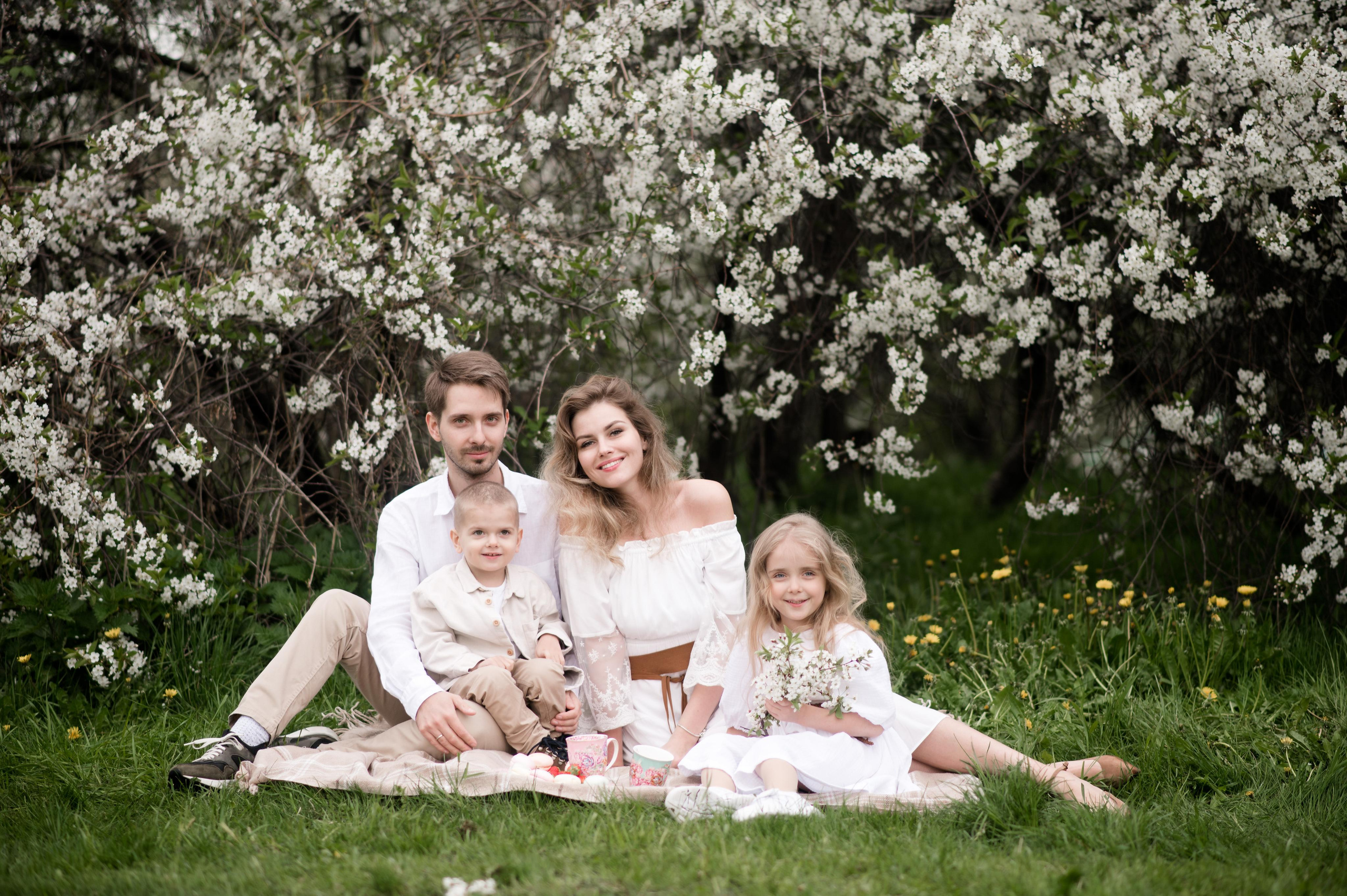 Сherry blossom. Family and content photographer