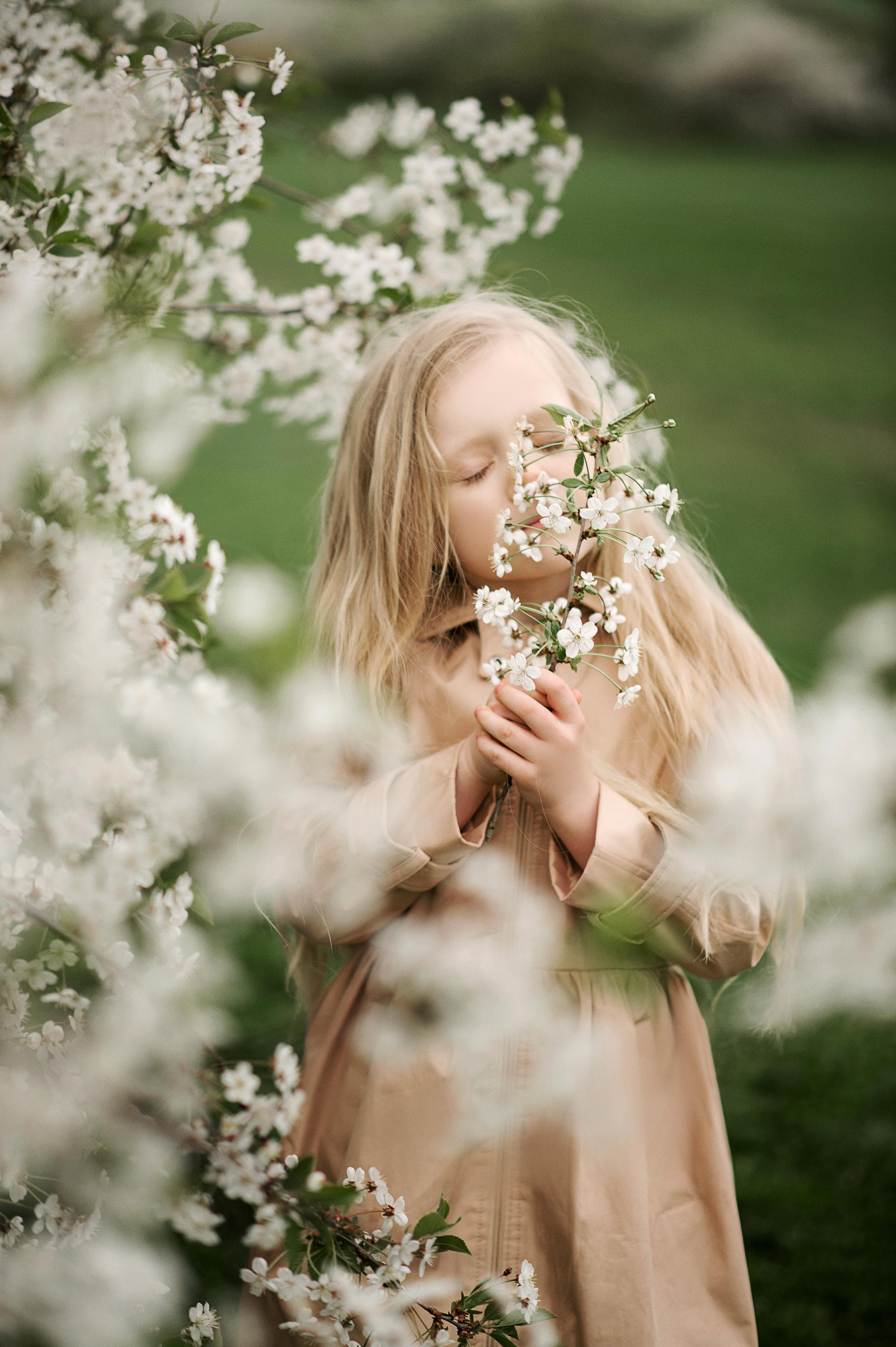 Сherry blossom. Family and content photographer