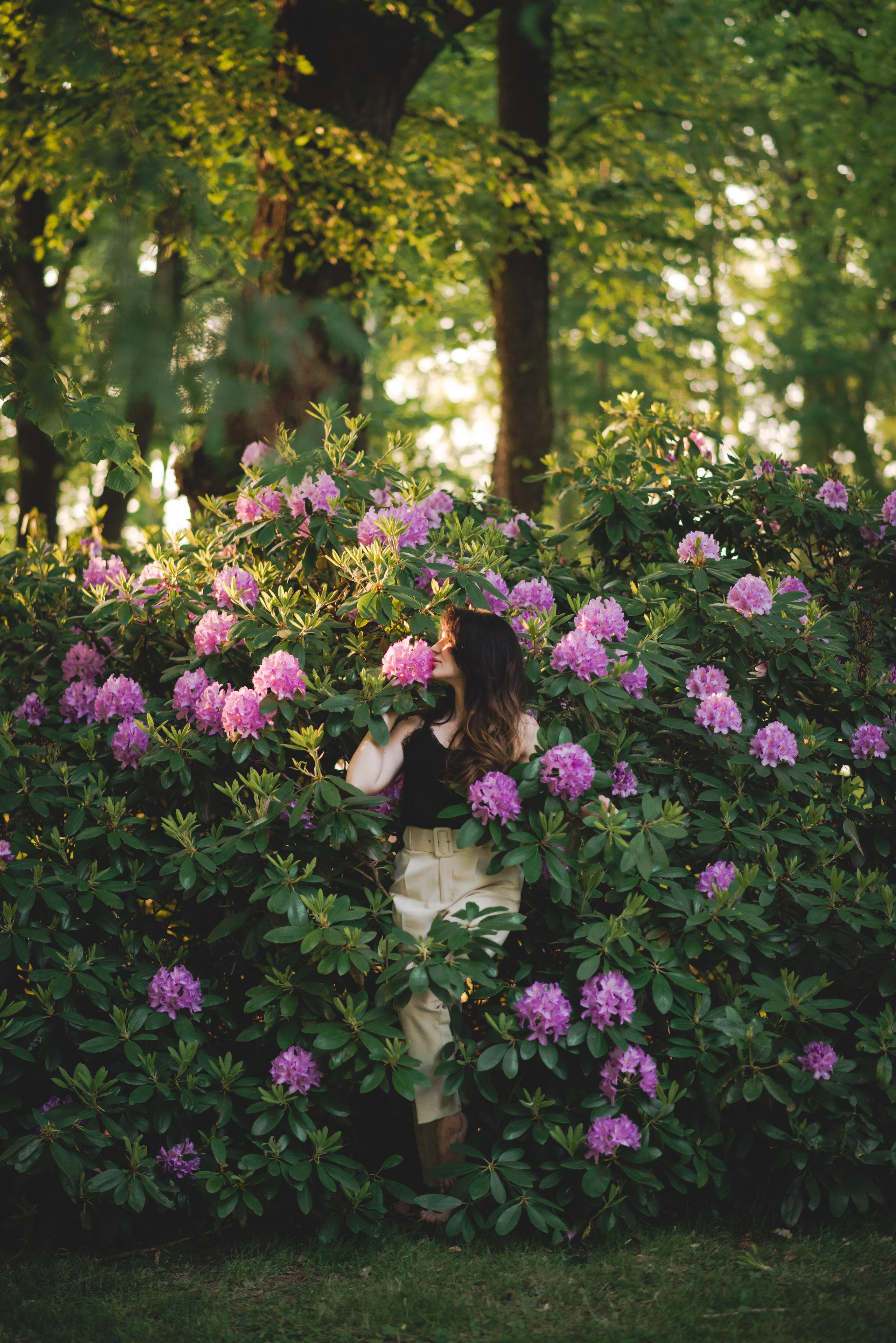 Rodadendrum. Family and content photographer