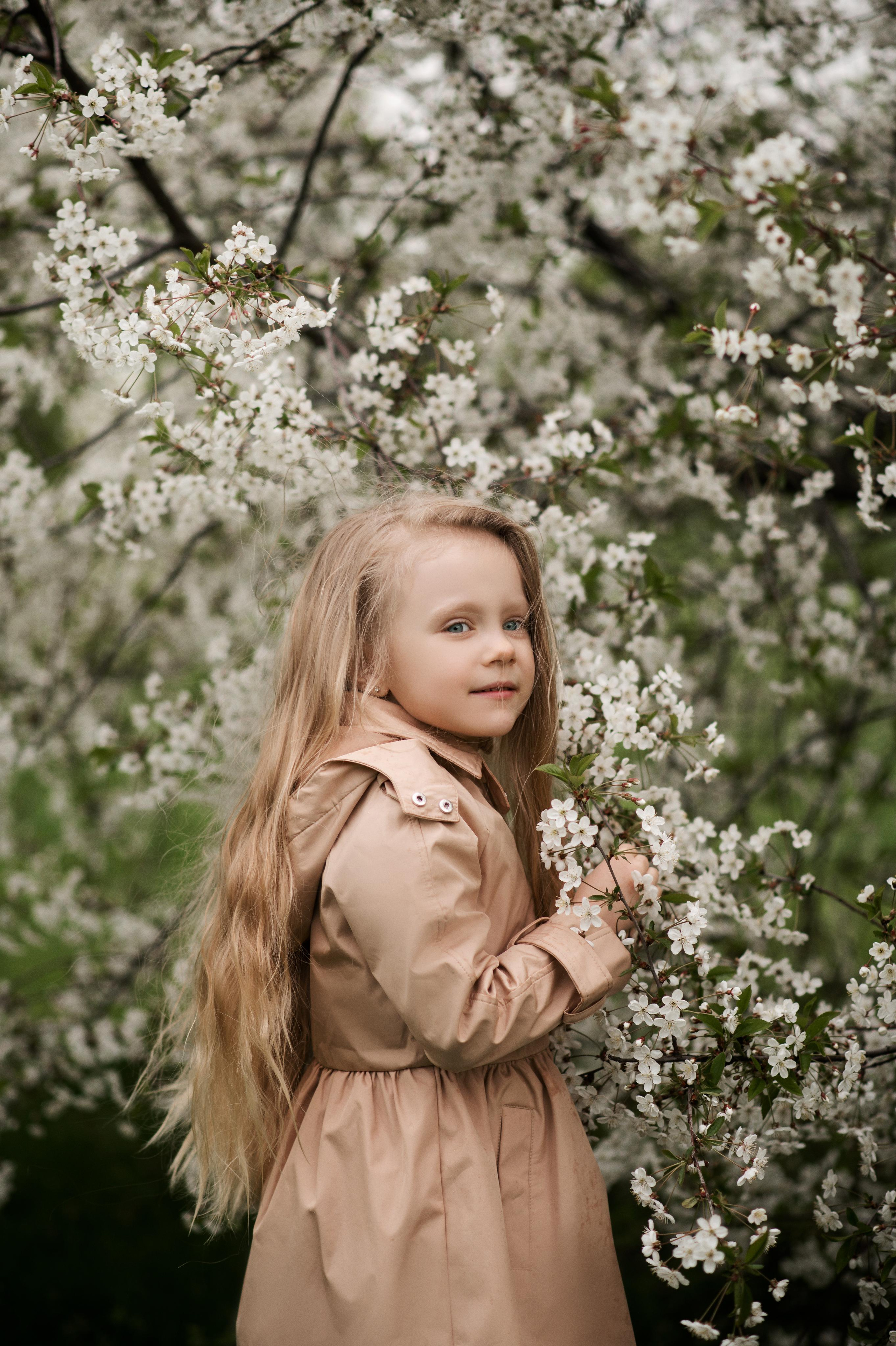 Сherry blossom. Family and content photographer