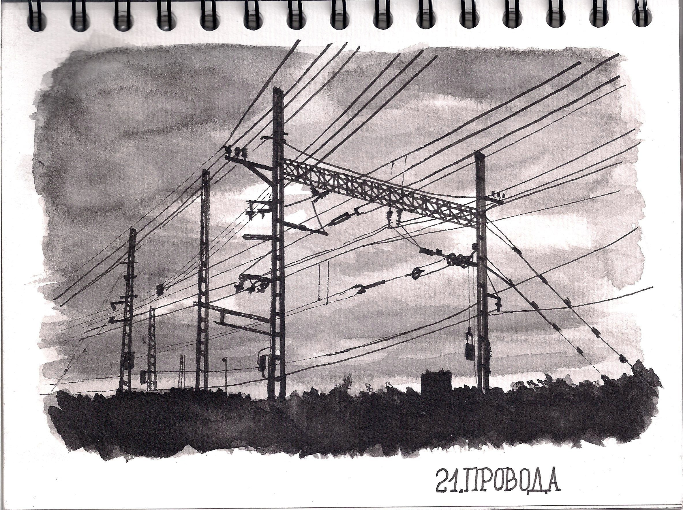 Графика. Фотограф Юлия Зимина