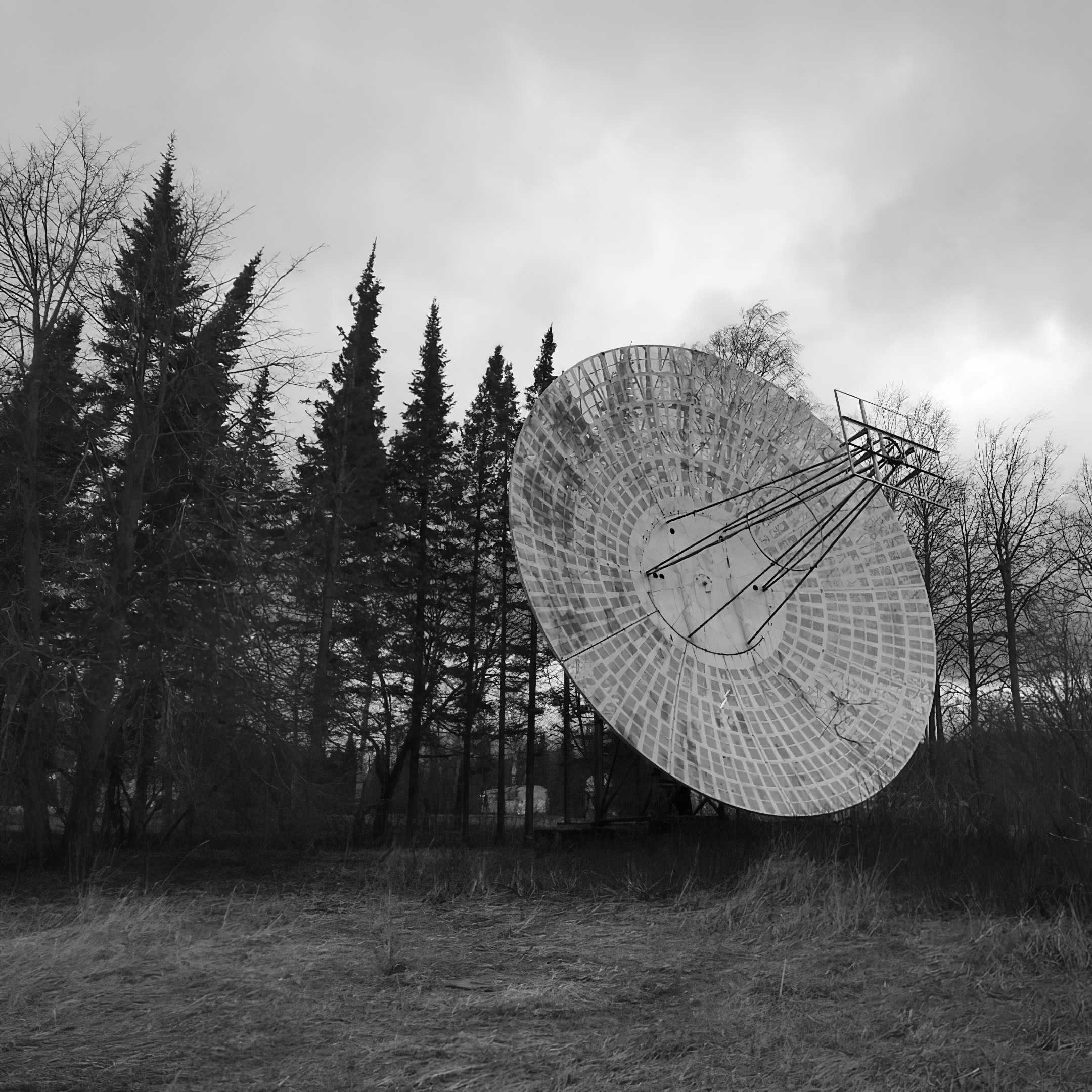 Мобильное. Дмитрий Ратихин. Видеограф и фотограф в Санкт-Петербурге и Москве