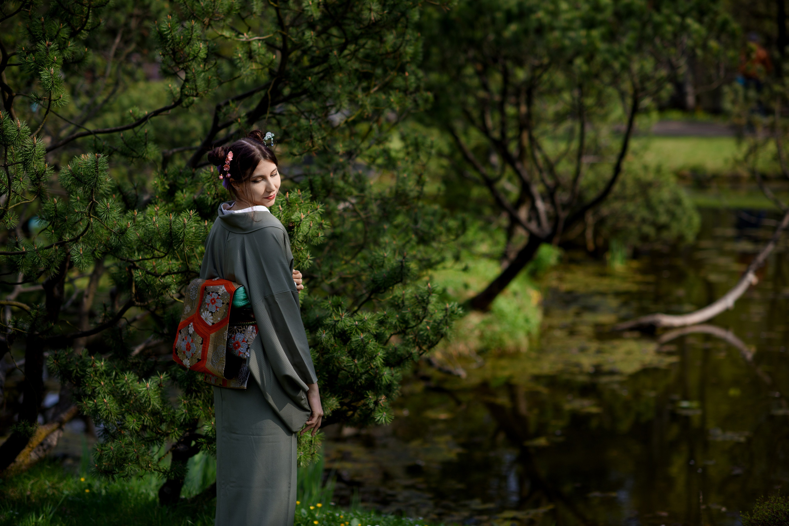 Любование цветением сакуры в Японском саду. Главная