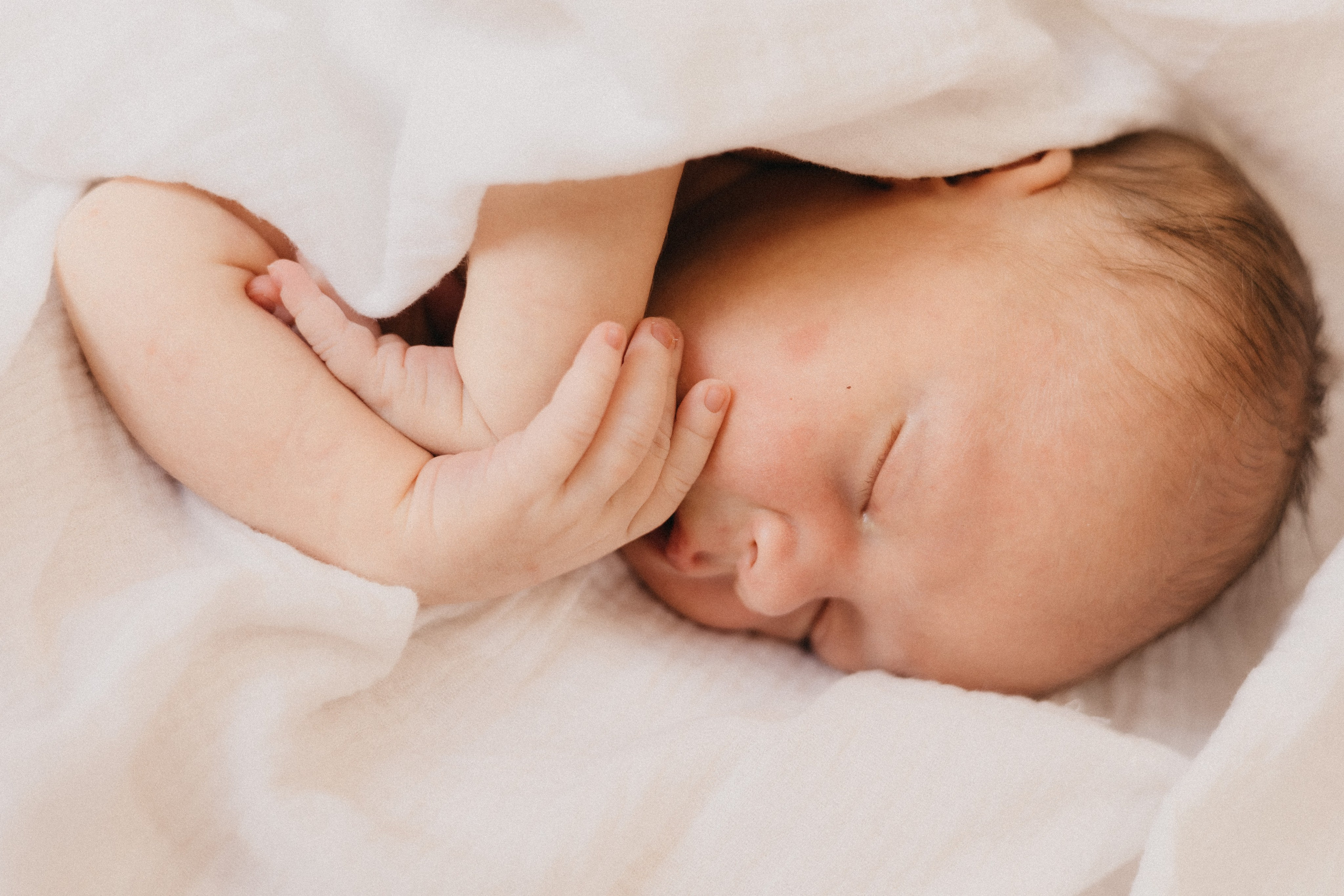 Семейная. Фотограф Оксана Пономарева