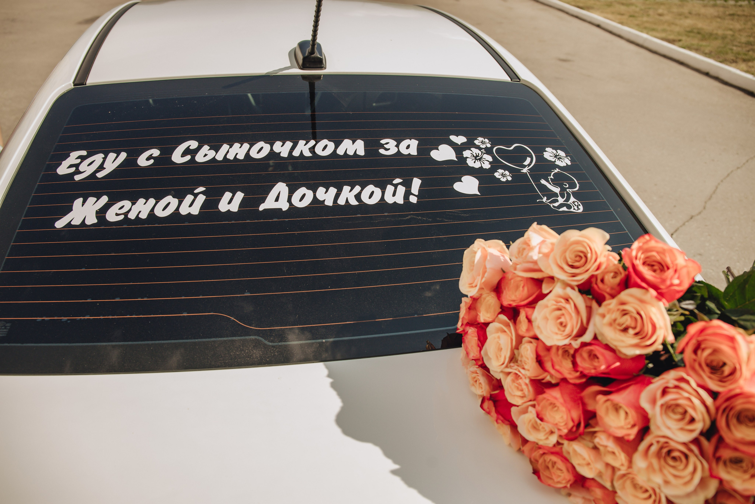 Выписка Даши. Свадебный и семейный фотограф Пушкин Царское Село СПБ Питер Санкт-Петербург и Рязань Ольга Козлова