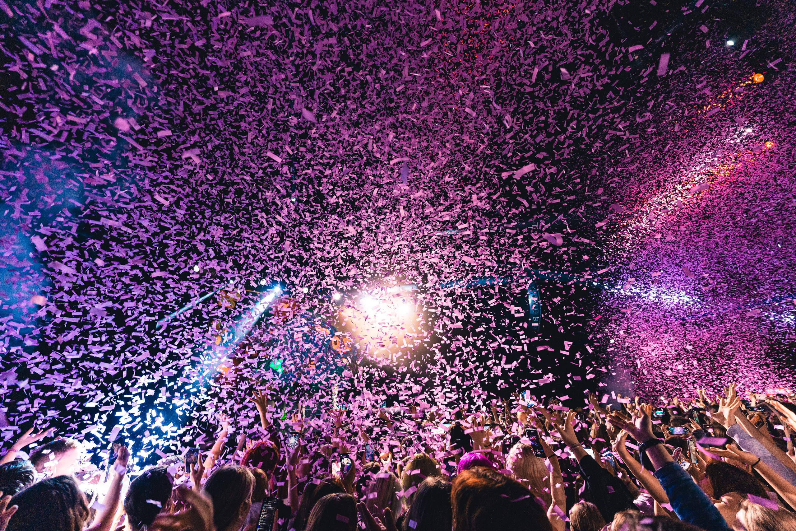 Алена Швец. Магия музыки в кадре: Концертная Фотография