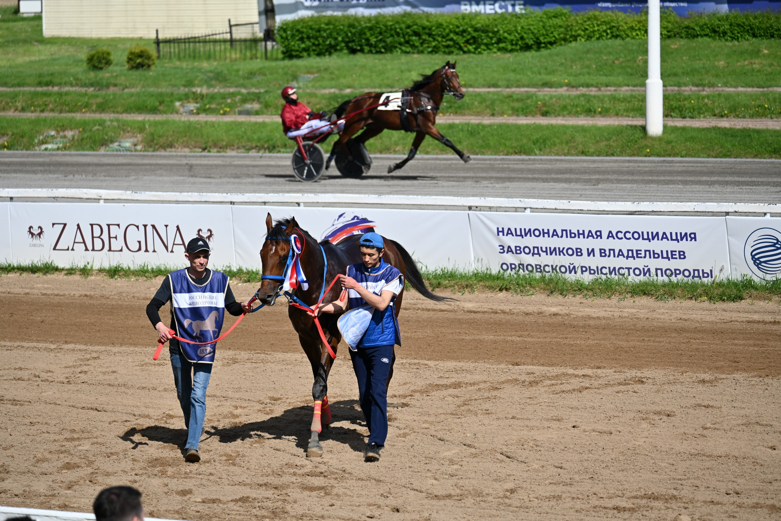 Московский ипподром. Fotolux