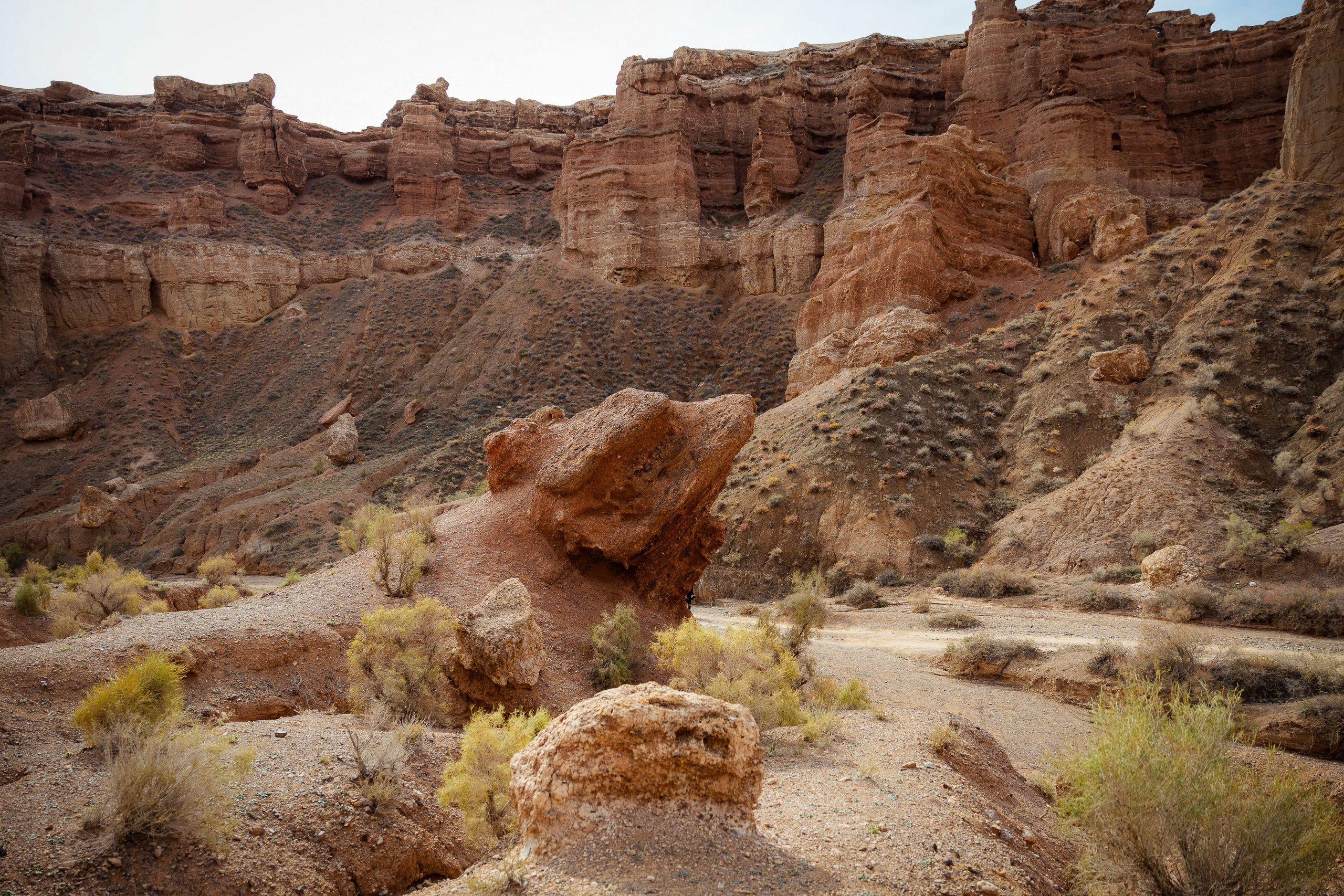 Казахстан (осень 2024). Фотограф Виноградов Константин