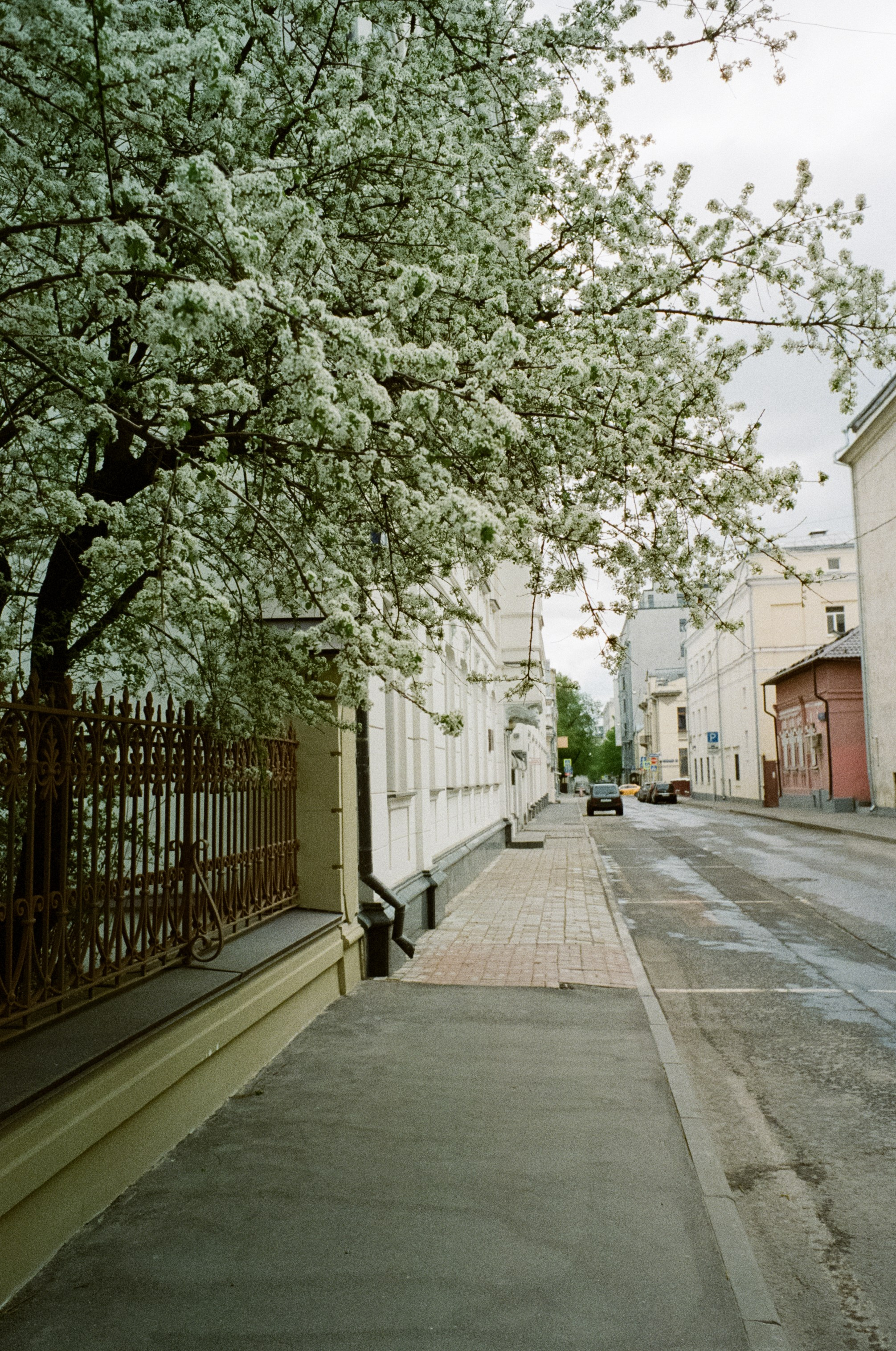 Ул. Поваровка и окрестности | Voigtlander BESSA-T — Voigtlander Ultron 28 mm f/2 | Kodak Ultramax 400 (просрочка) @ ISO 100