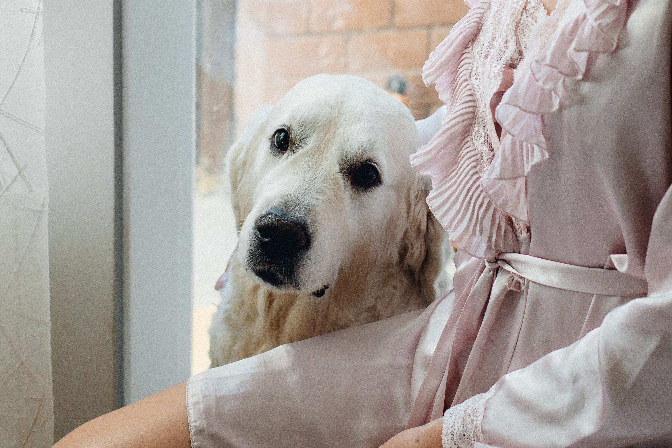 Светлана и Кирилл. Свадебный фотограф Александр Абрамов Москва / Зеленоград