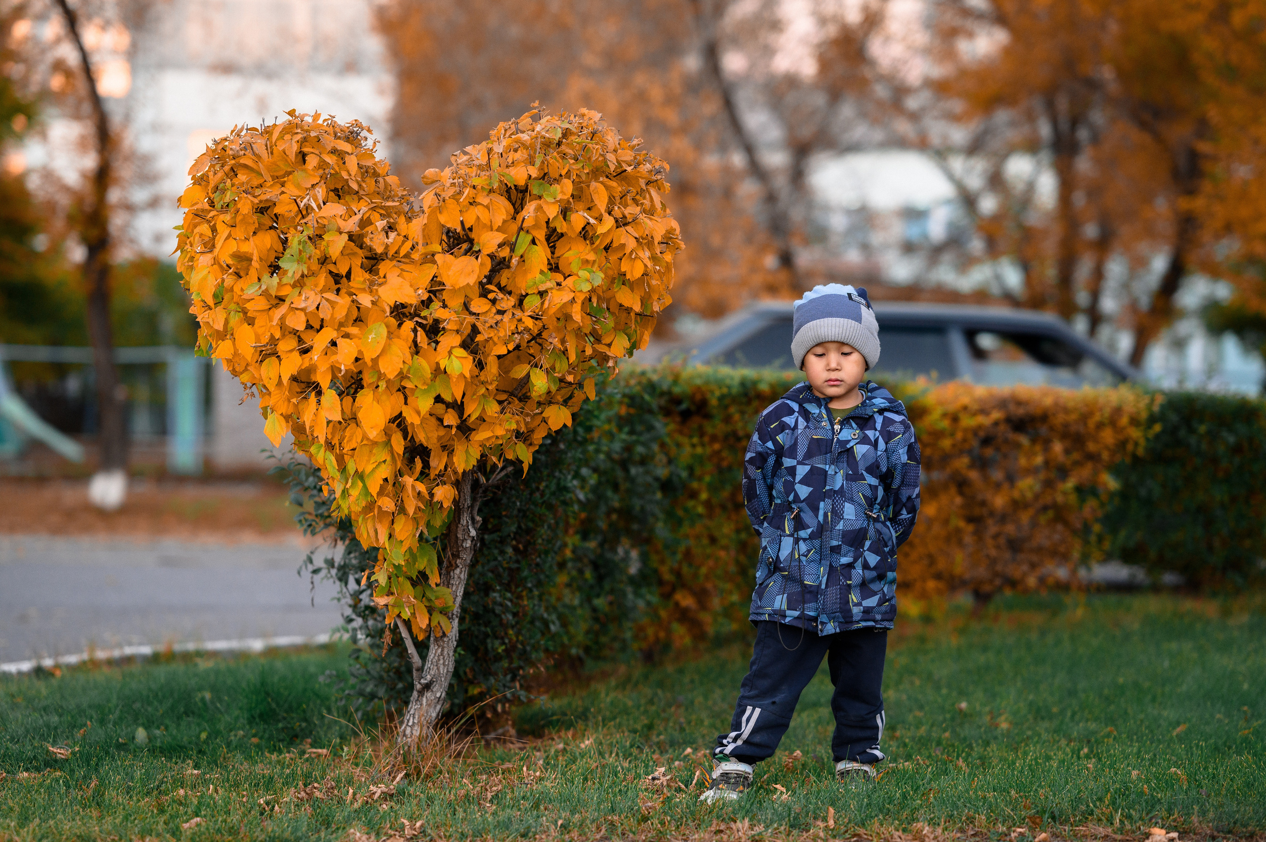 Осенняя фотосессия. Фотограф Андрей Чичинин