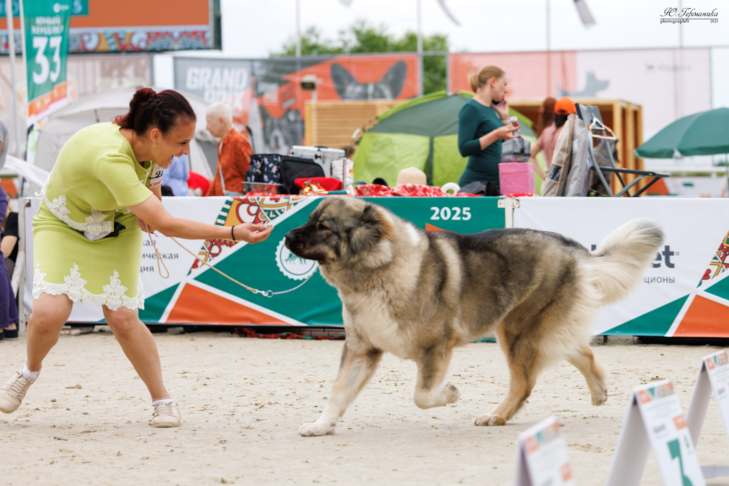 РОССИЯ 7-8.06.2025. Фотограф-анималист Юлия Германика
