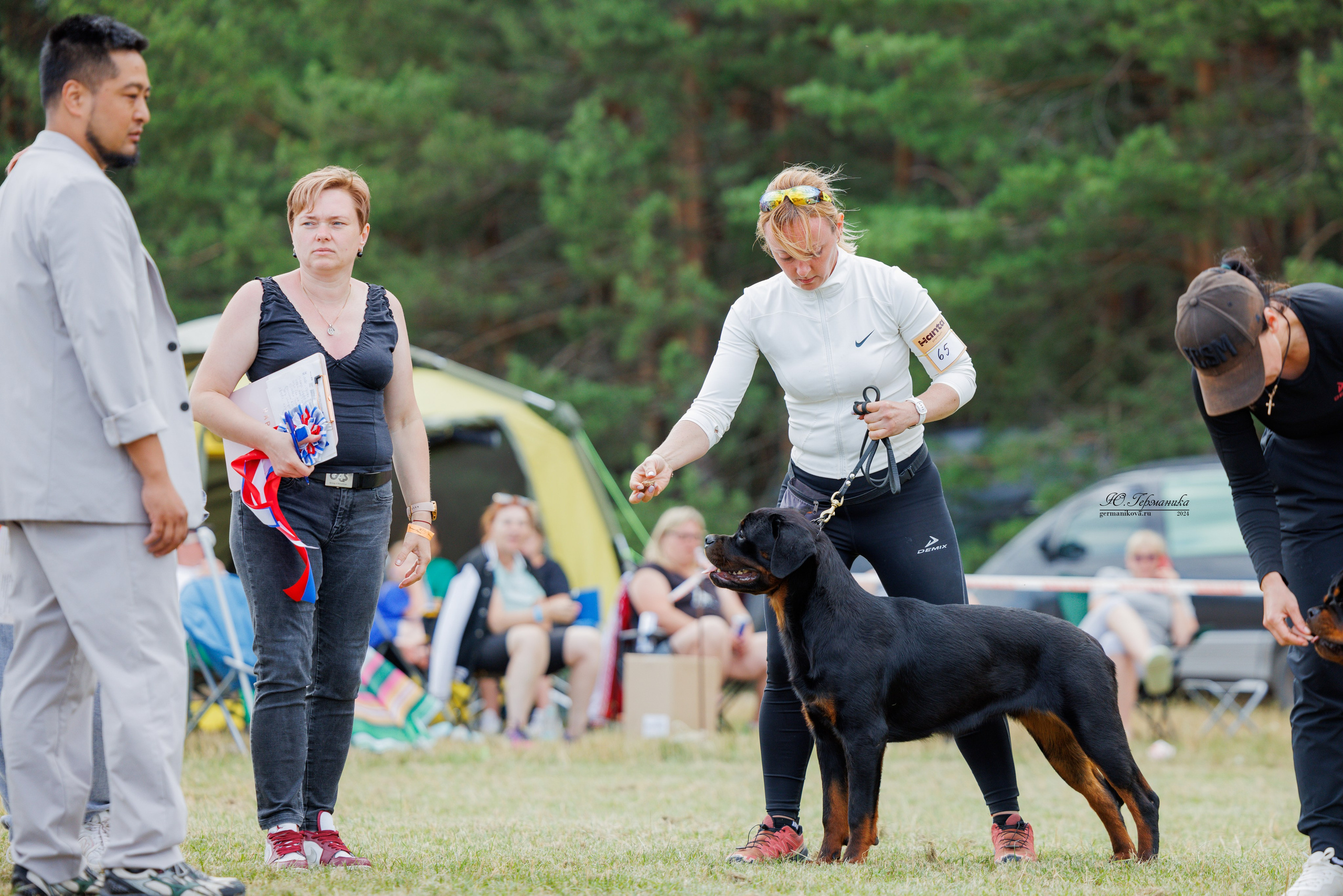 ПК и КЧК ротвейлеры Тверь 6-7.07.2024. Фотограф-анималист Юлия Германика