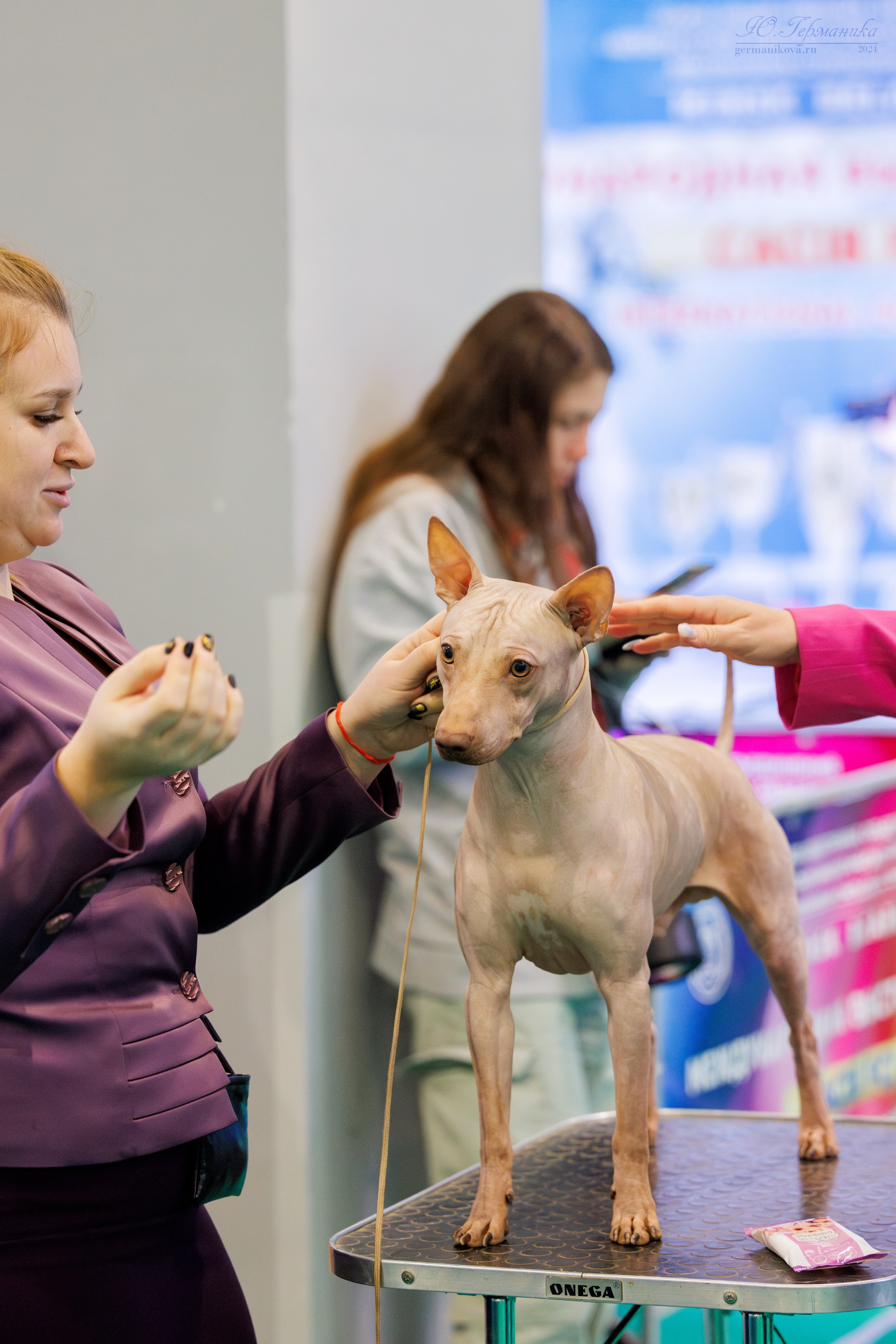 Минск 23.11.2024. Фотограф-анималист Юлия Германика