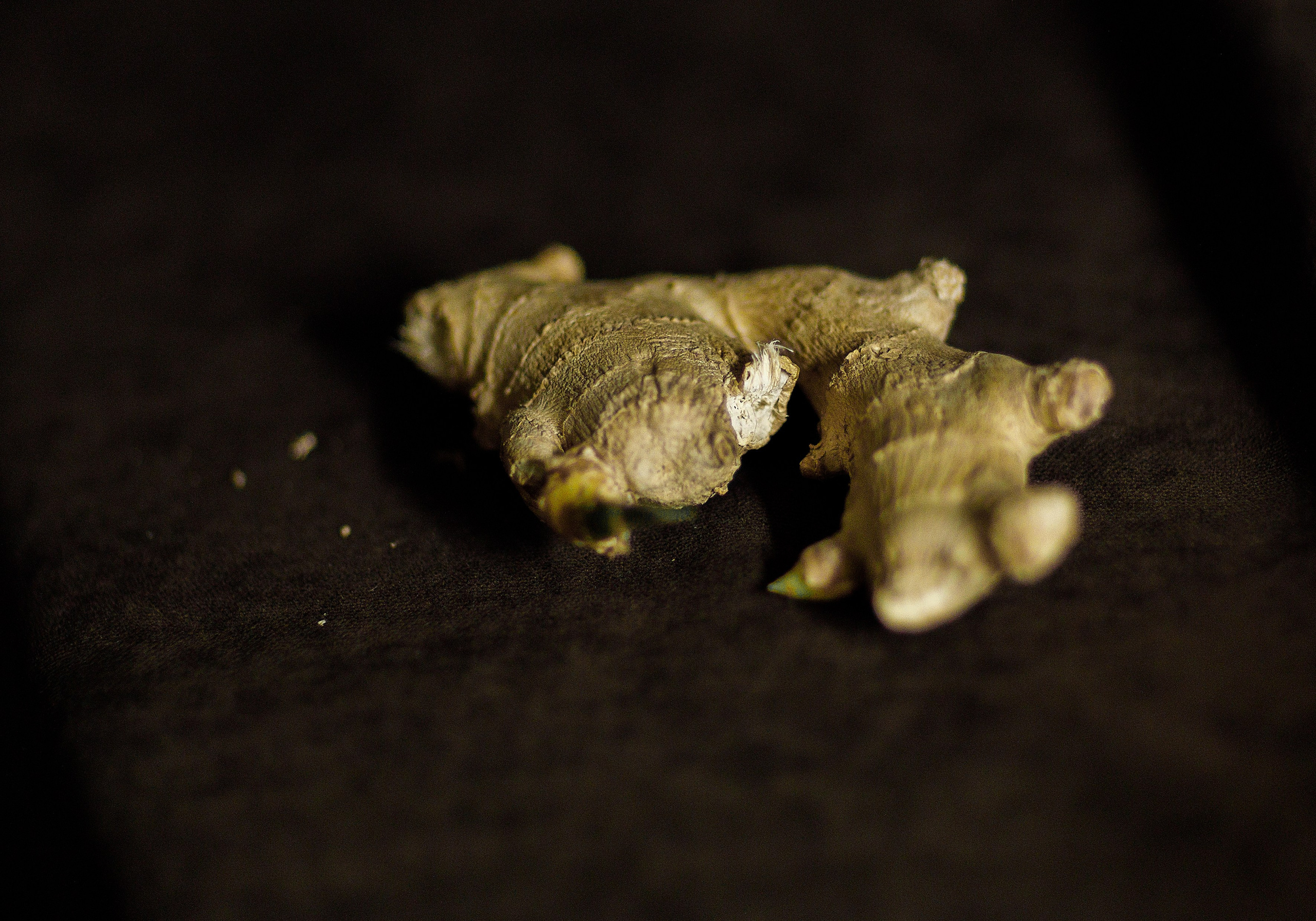 Проект «366»|2024|Фото каждый день. LENA GRACE photographer ||ЛЕНА ГРЭЙС фотограф