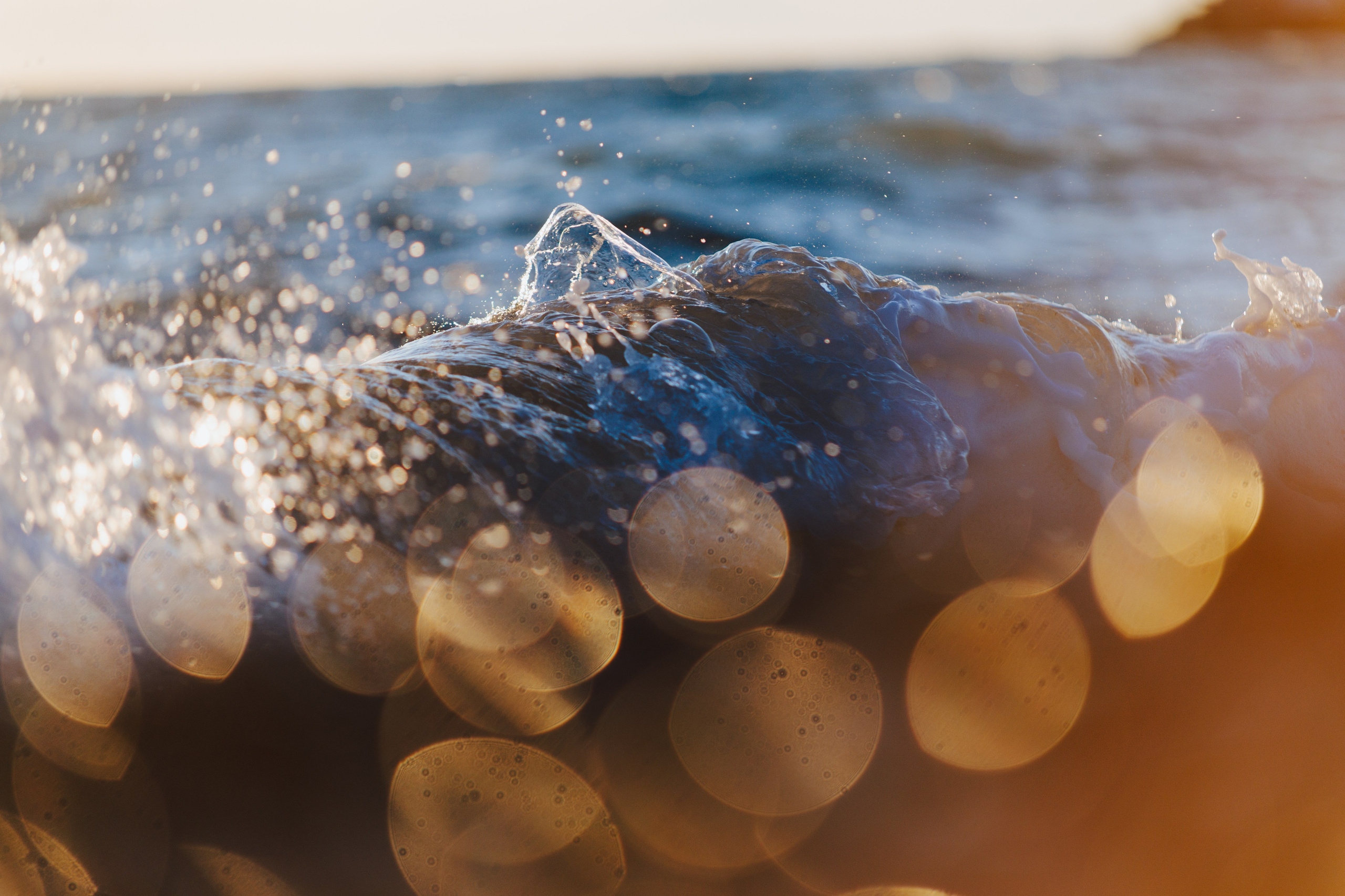 Природа. Спортивный фотограф Тремпольцева Анна