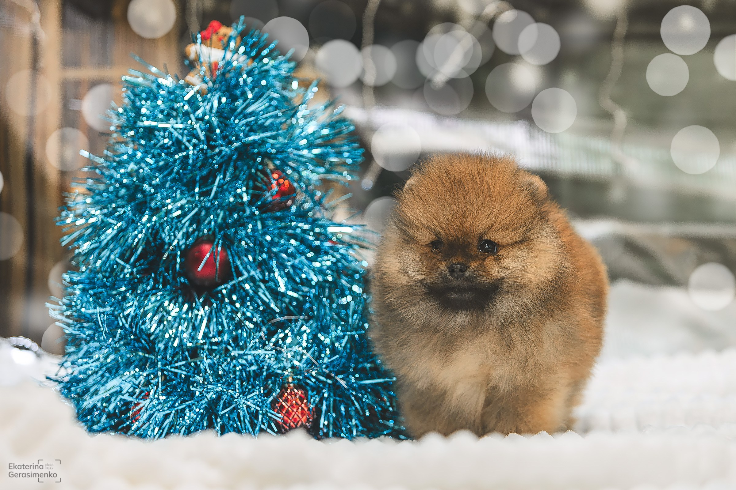 Фотодень. Htykk_photo