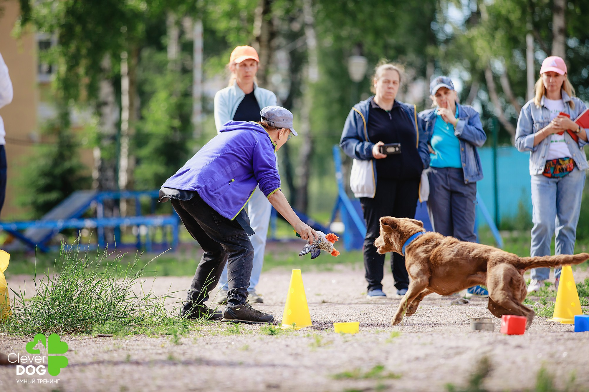 Семинар по поиску запаха с Иваном Ломовым, организатор CleverDog, СПб. Фотограф-анималист Mary Mart — Москва, Питер