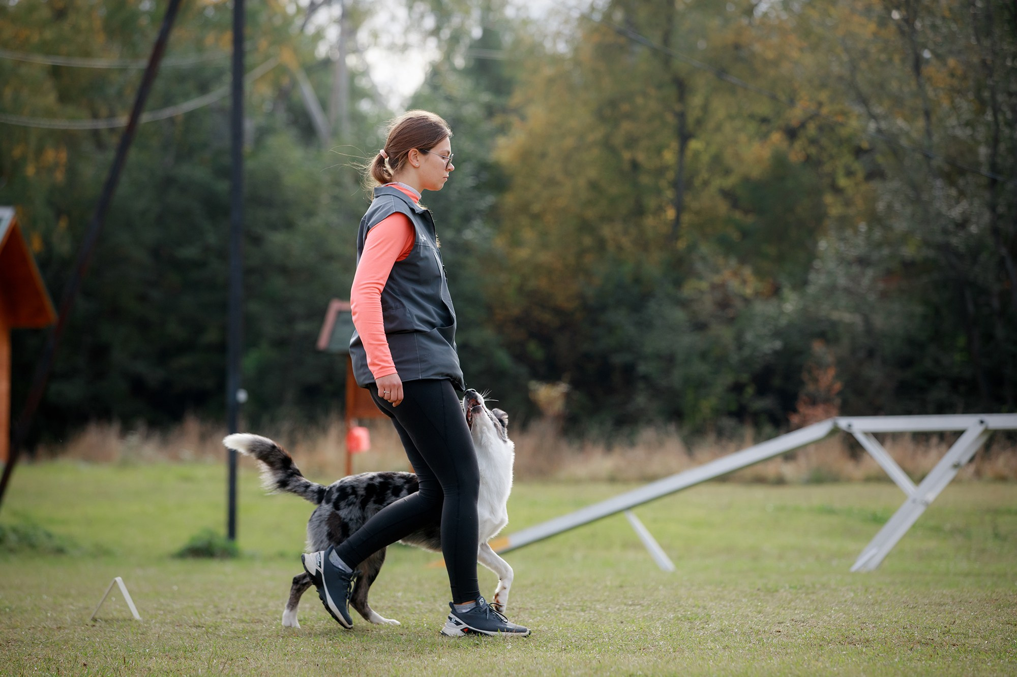 Лагерь по ОБД с Инной Баженовой. Фотограф-анималист Mary Mart — Москва, Питер