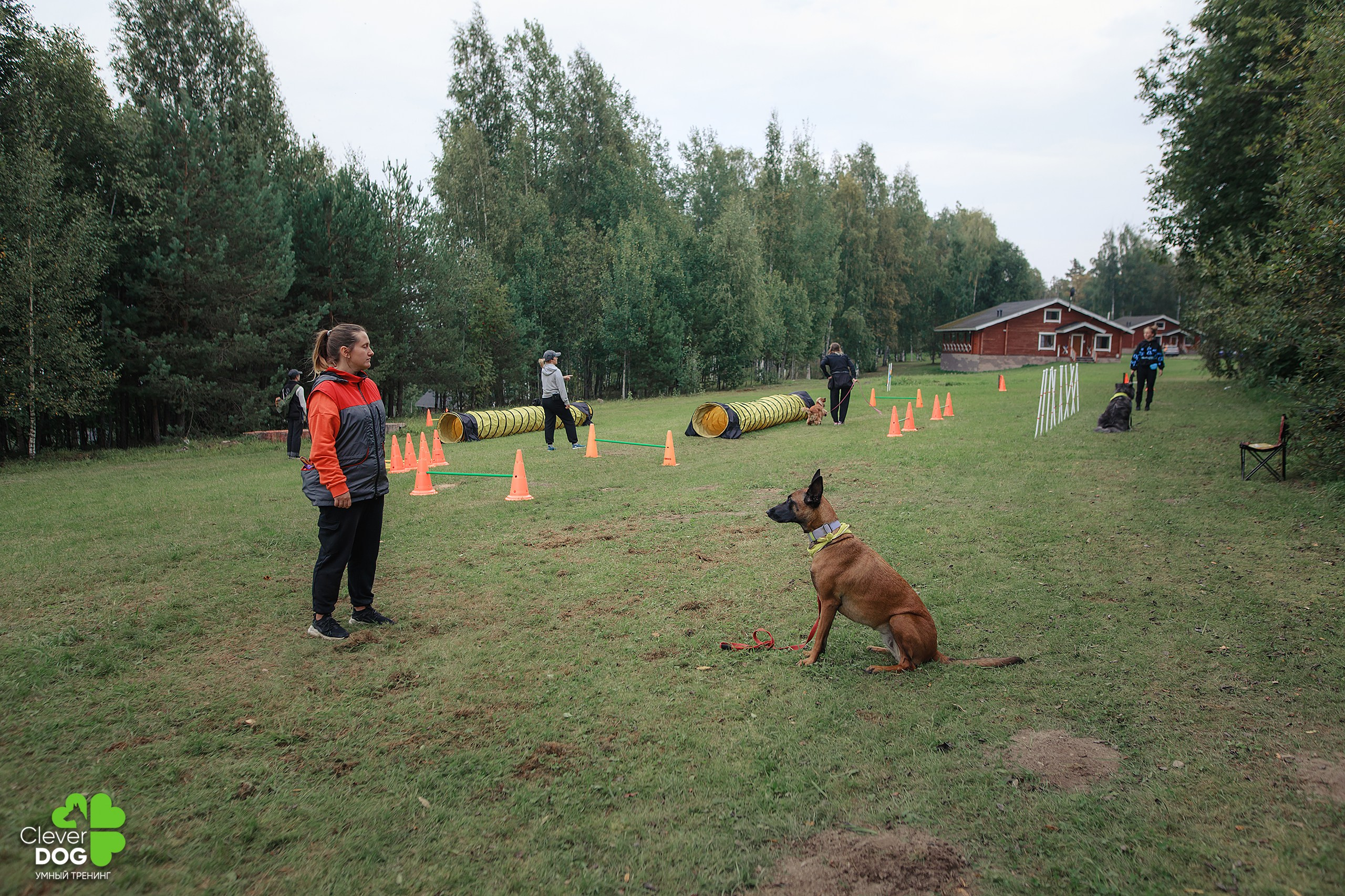 Кинологический лагерь CleverDog, 2024. Фотограф-анималист Mary Mart — Москва, Питер