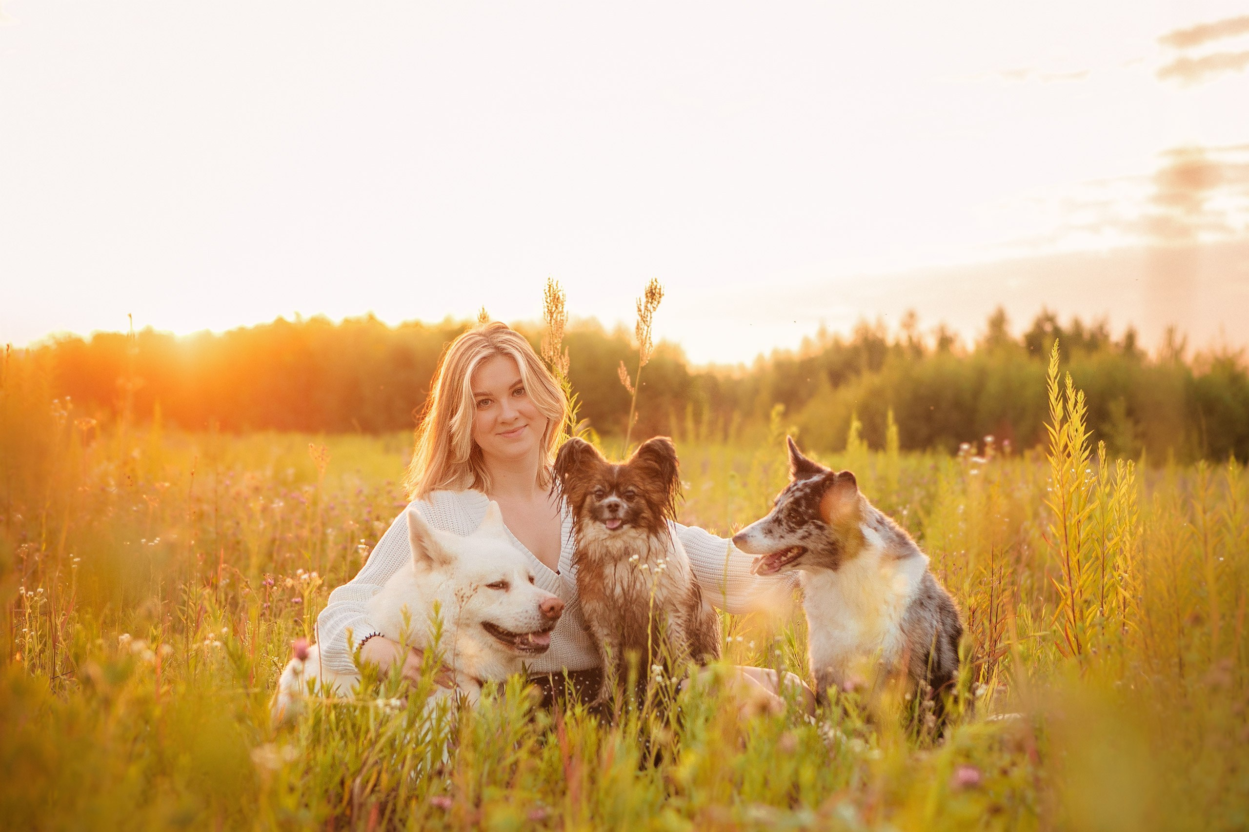 Таня и команда на рассвете. Фотограф анималист Кузнецова Анна Нижний Новгород