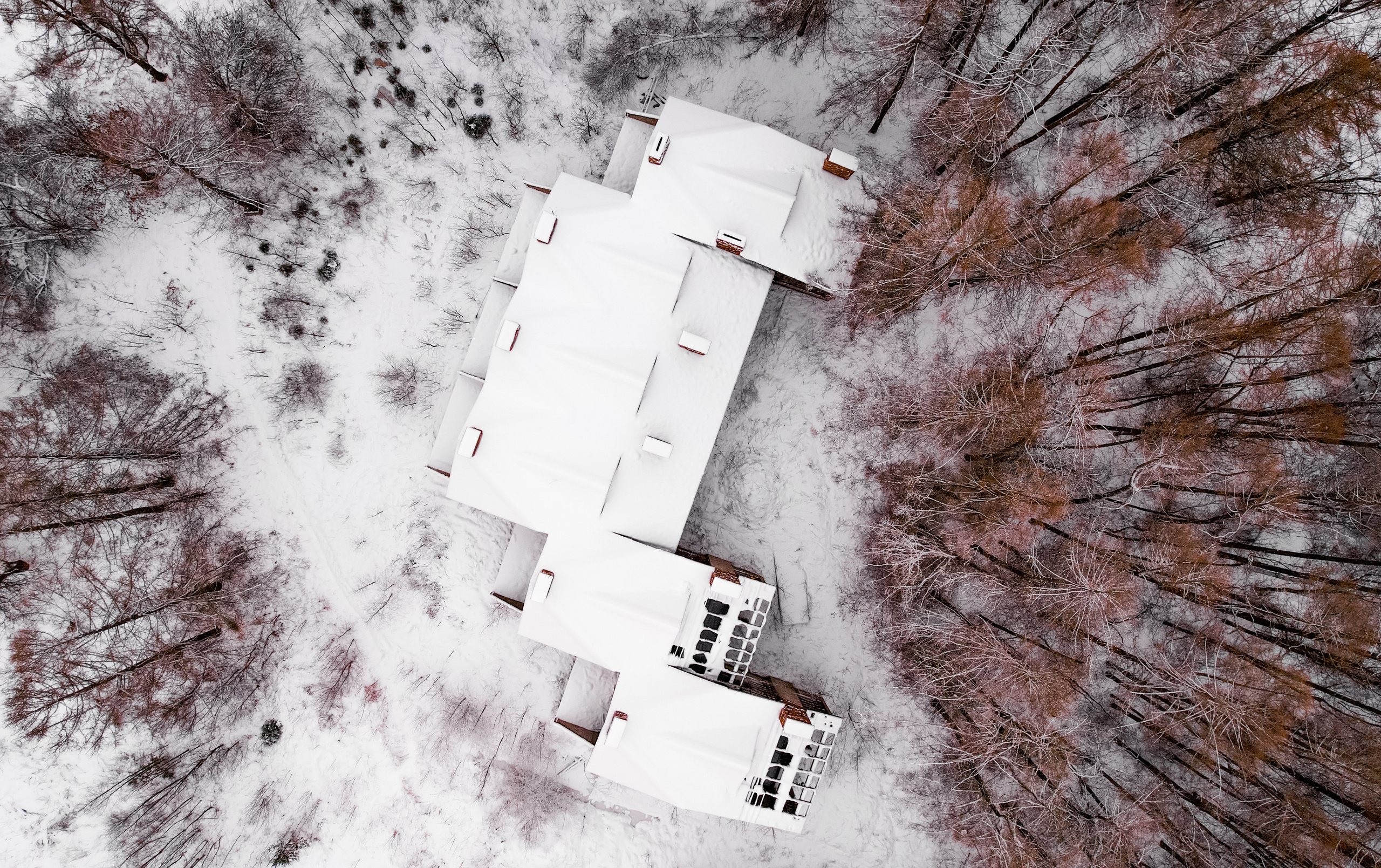 Зима. Фотограф Владимир Кононенко