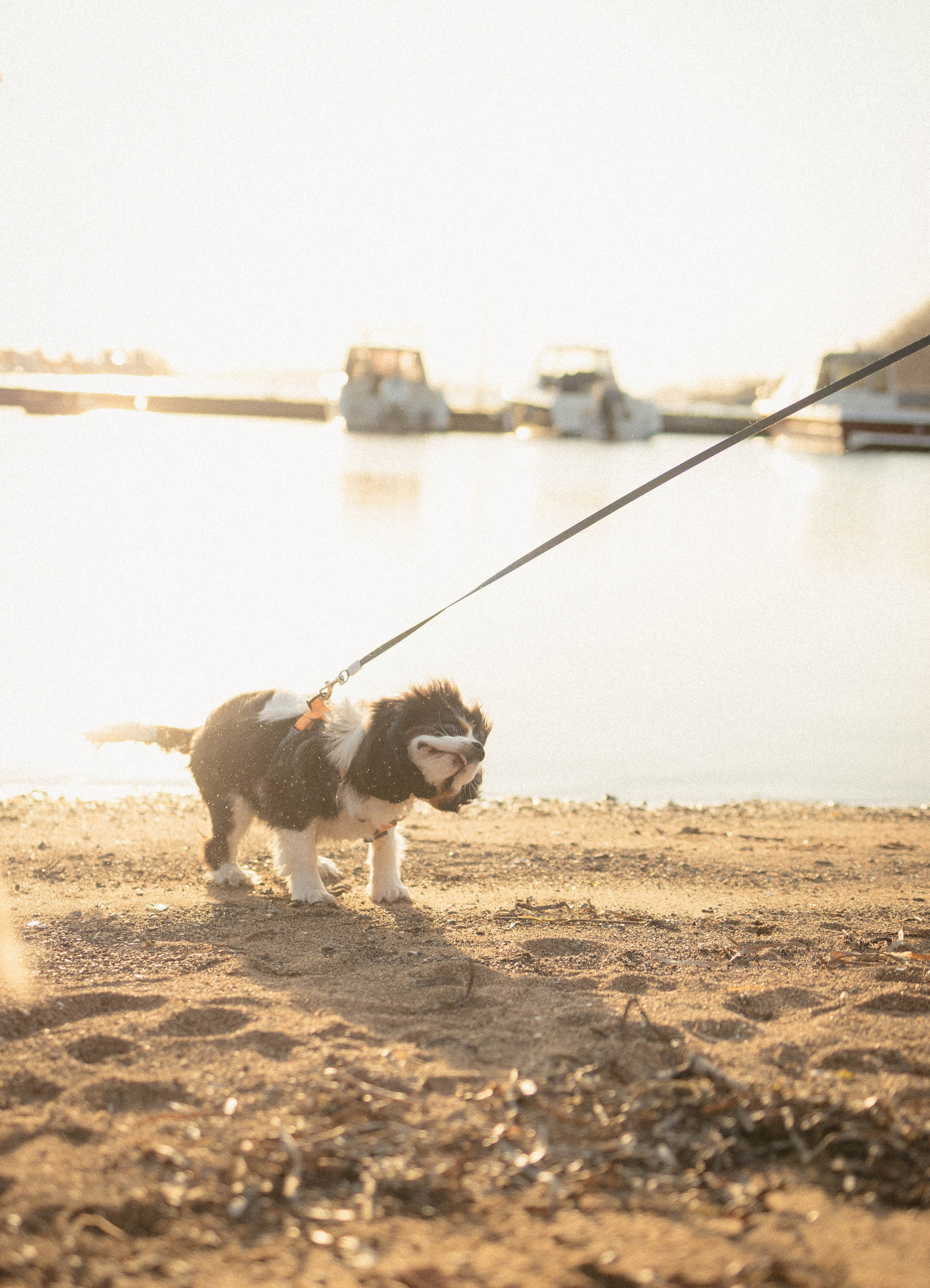 Кирилл и Мелания. Фотограф Виктория Куприянова