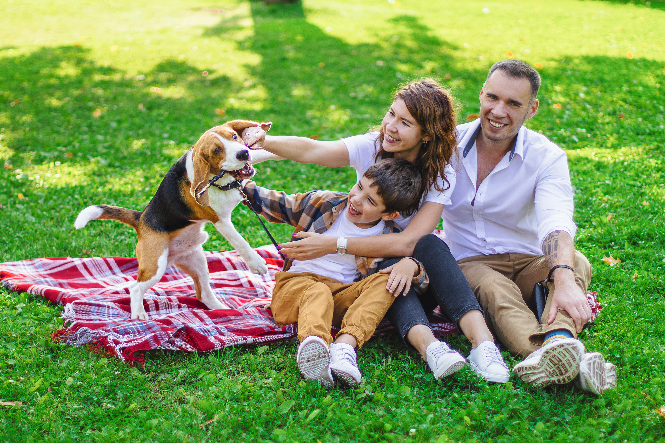 СЕМЕЙНЫЕ. DENISOV ART (фото, видео, дизайн) САМАРА