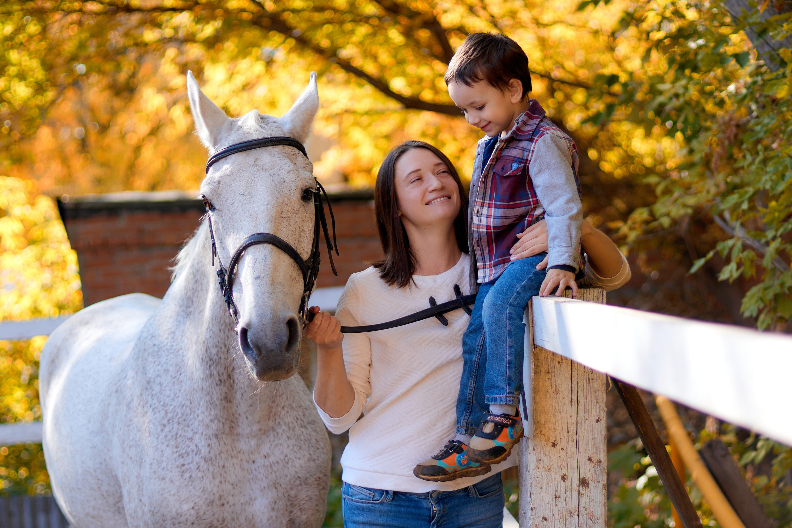 СЕМЕЙНЫЕ. DENISOV ART (фото, видео, дизайн) САМАРА