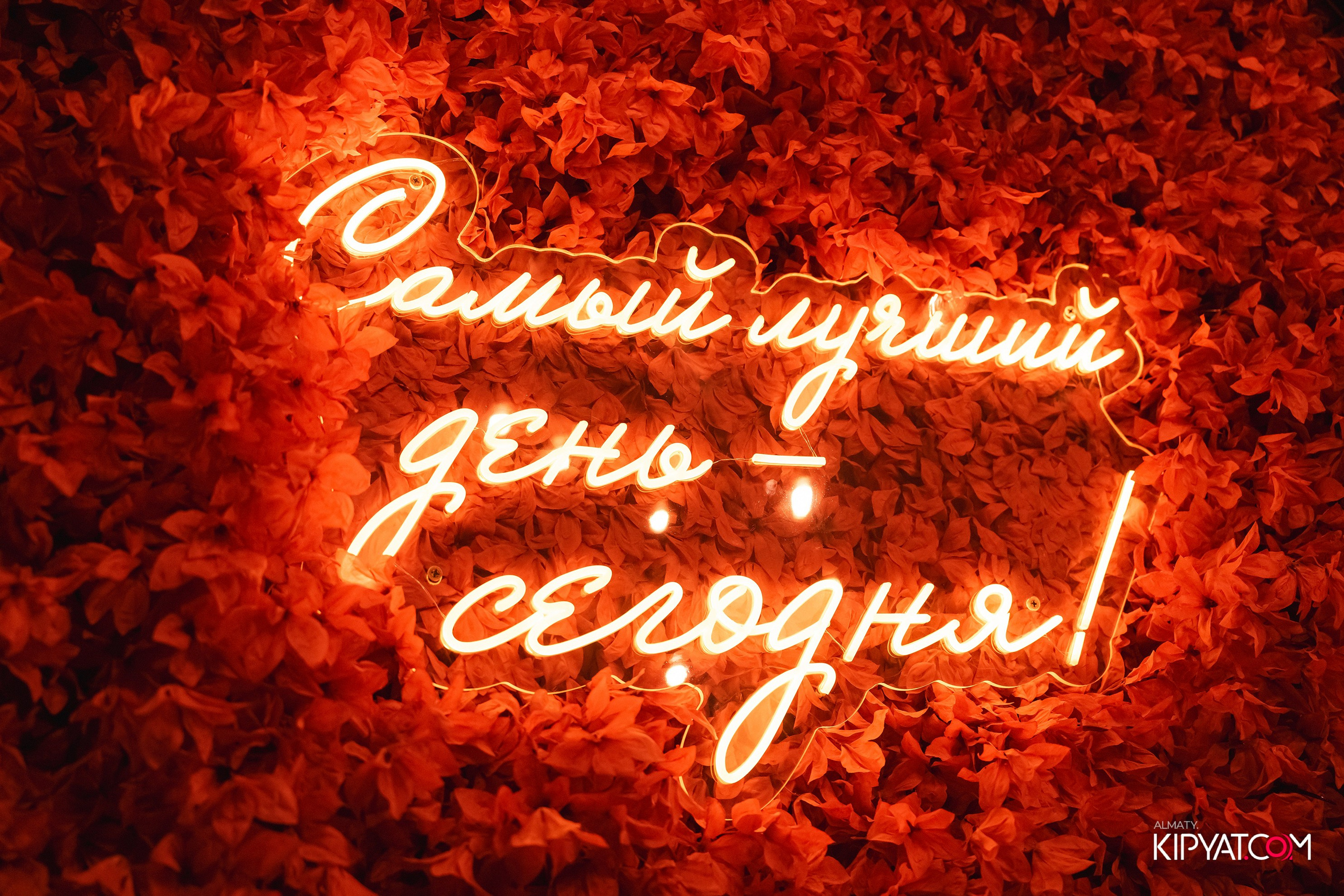 ДОРОГАЯ, Я НЕ ПИЛ. КИПЯТКОМ АЛМАТЫ! Фотосъемка мероприятий в Алматы