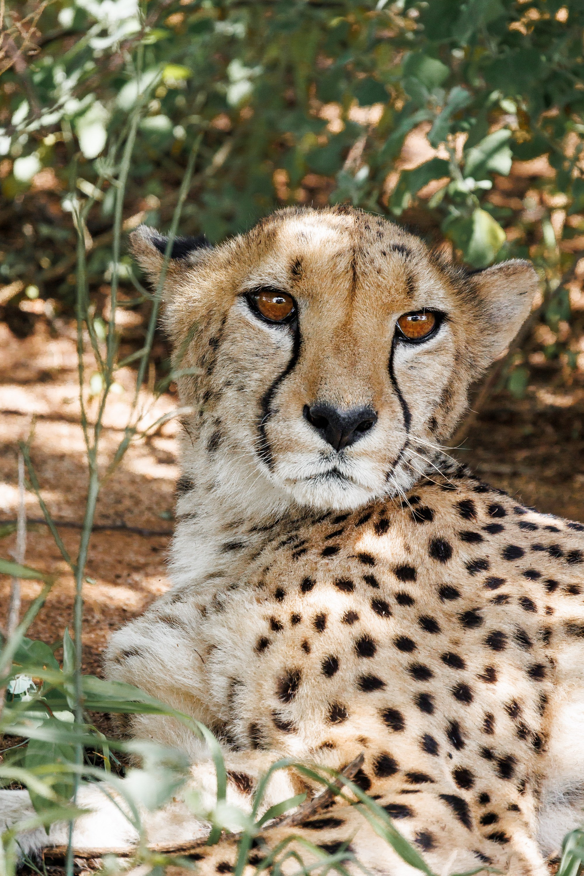 НАМИБИЯ. Роадтрип