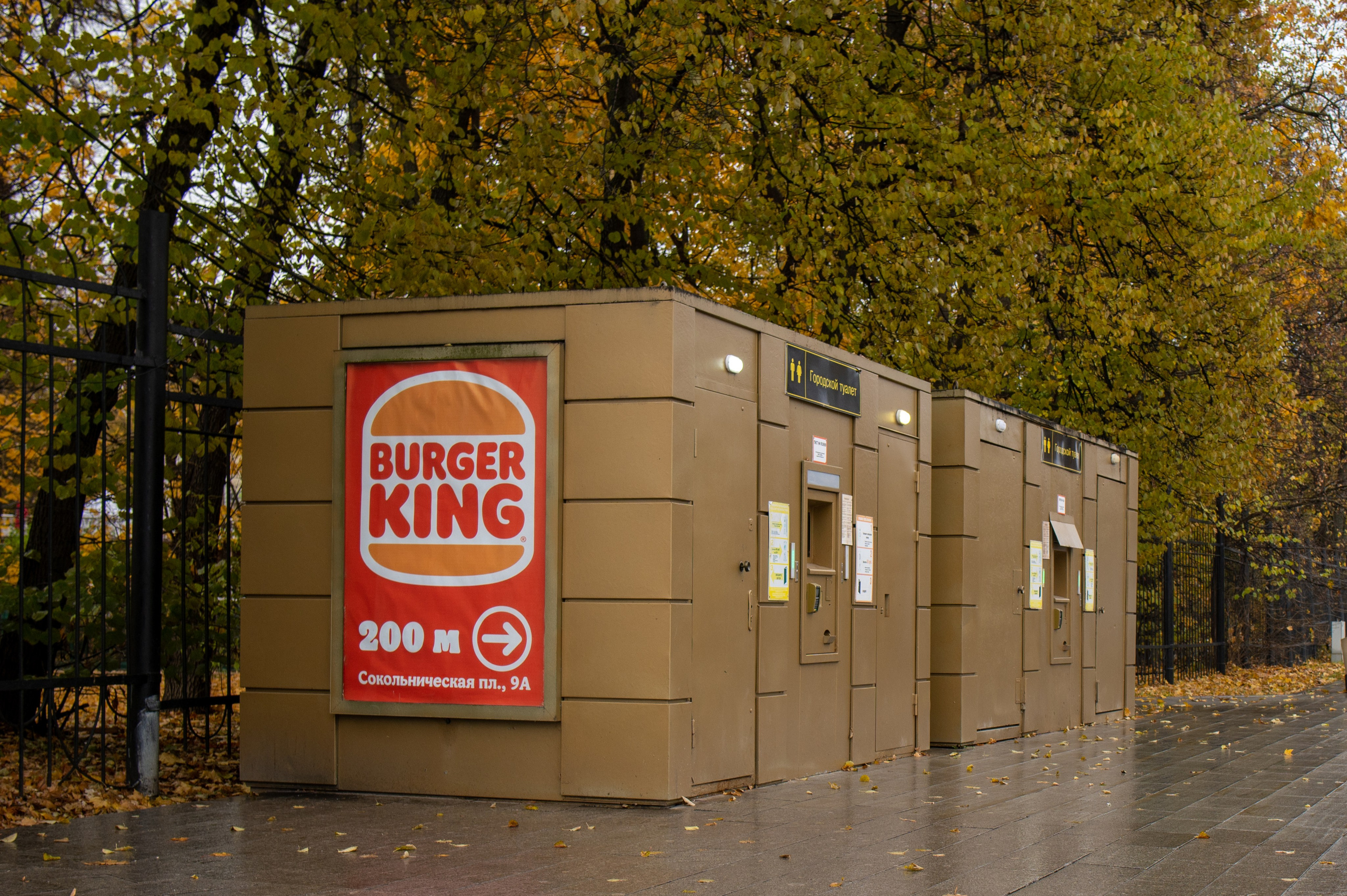 20241026 Сокольники. Дмитрий Ремизов. Фотография, как хобби