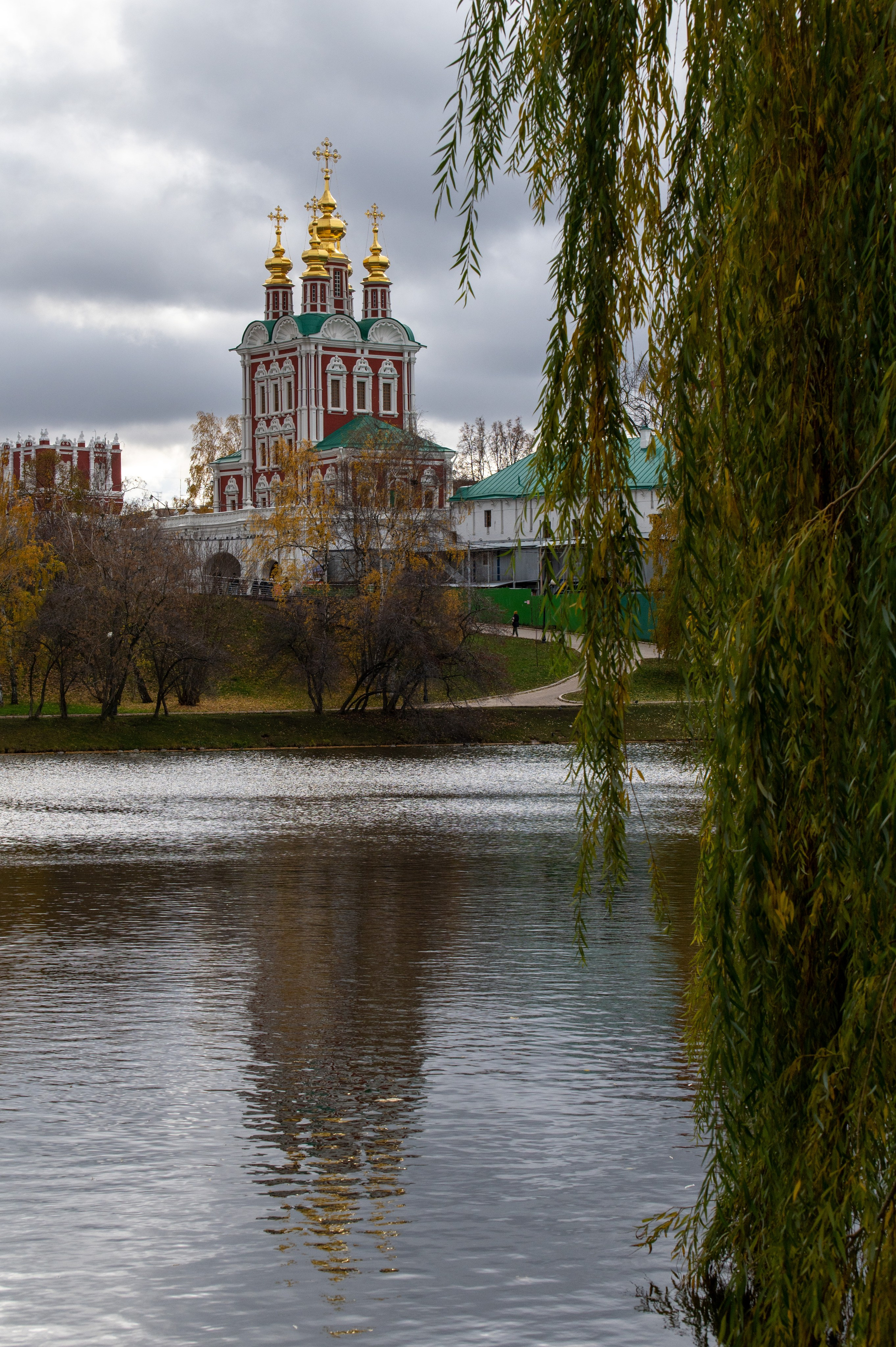 20221030 Новодевичий. Дмитрий Ремизов. Фотография, как хобби