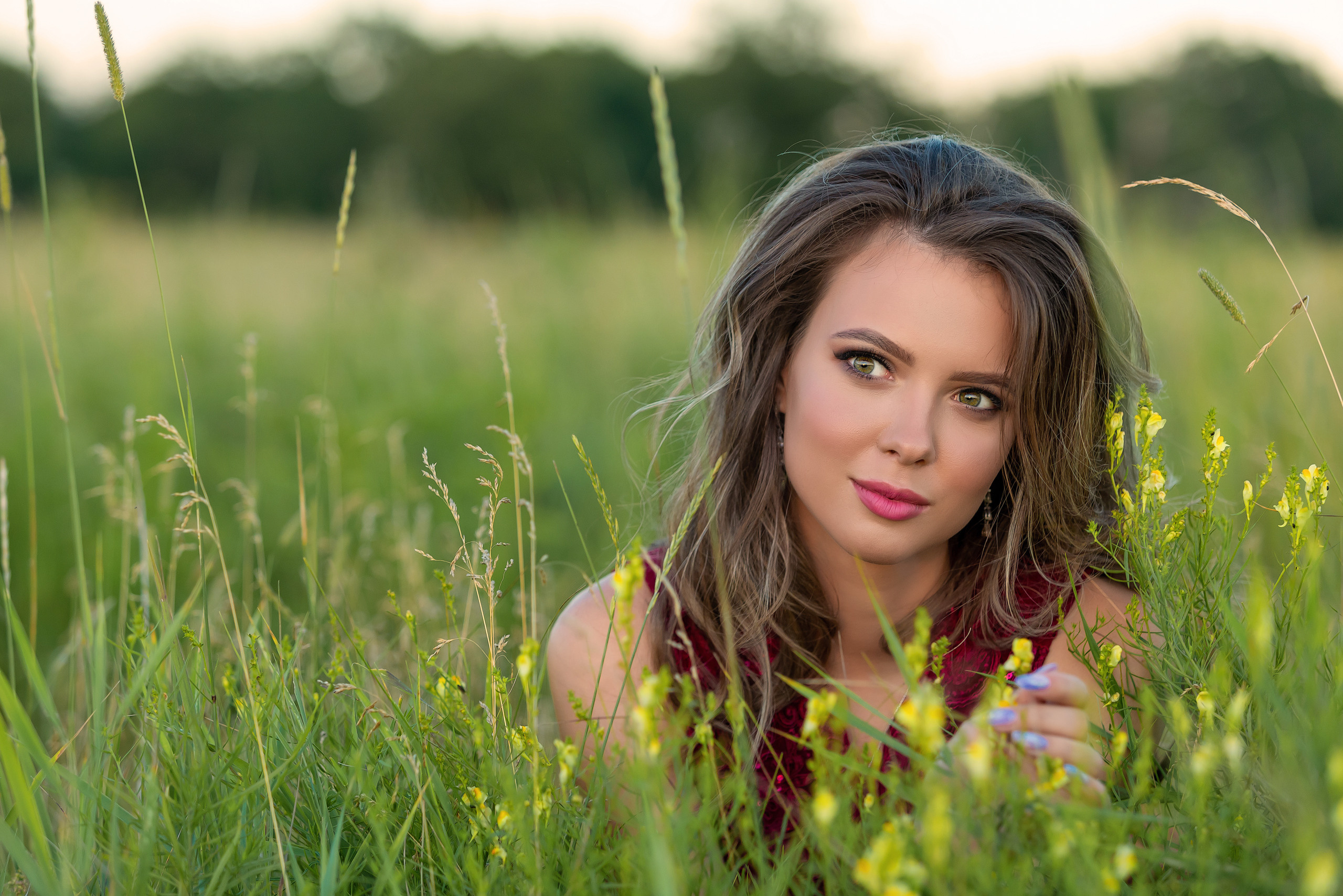 Луга. Фотограф Павел Шрайбикус