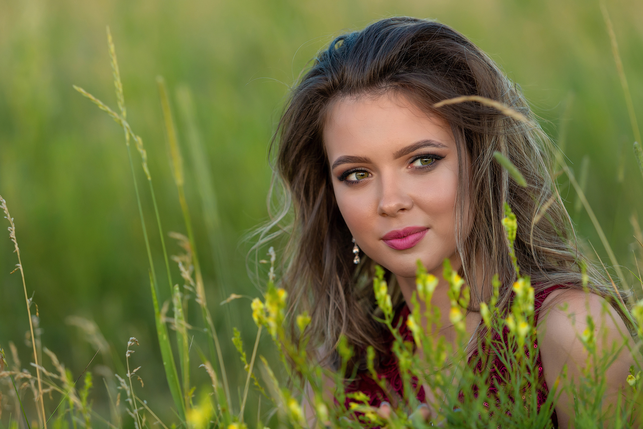 Луга. Фотограф Павел Шрайбикус