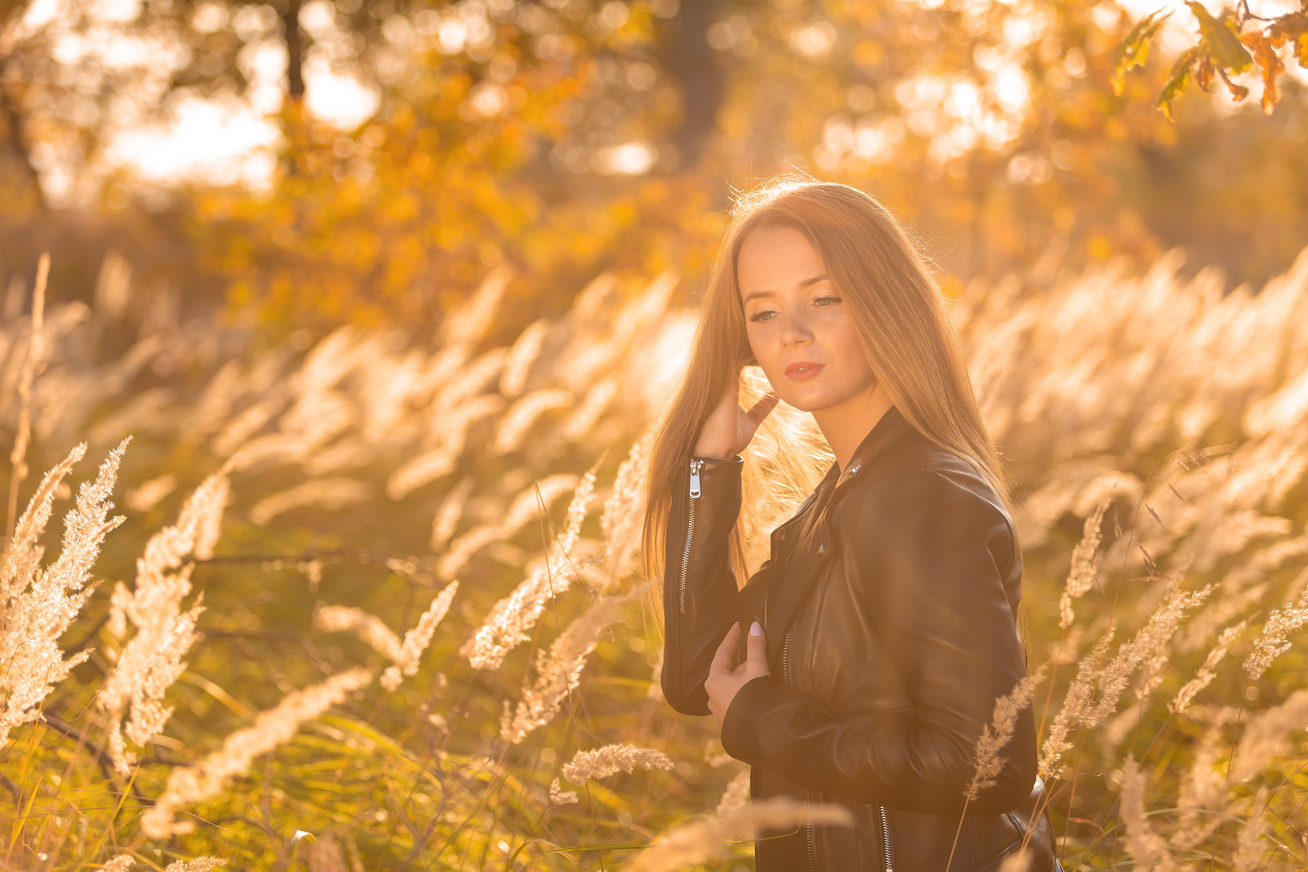 Осеннее солнце. Фотограф Павел Шрайбикус