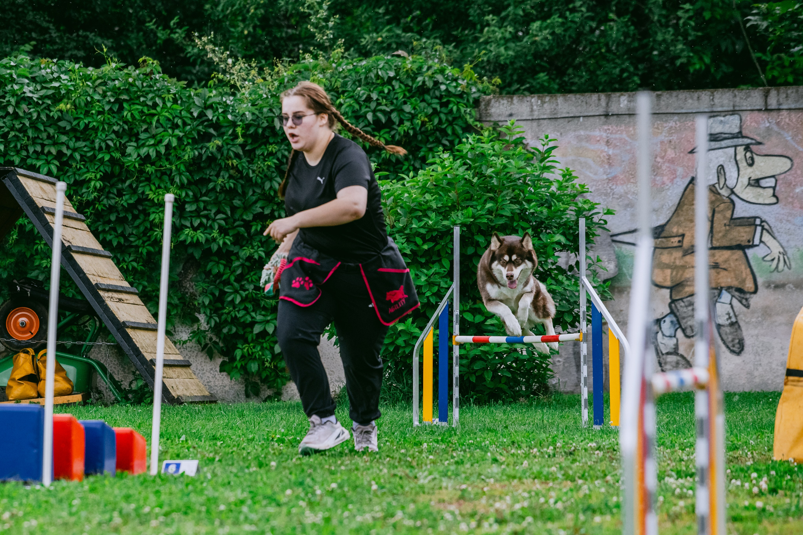 Соревнования по аджилити Долгопрудный 30.06.2025. Фотограф-анималист Татьяна Степанова
